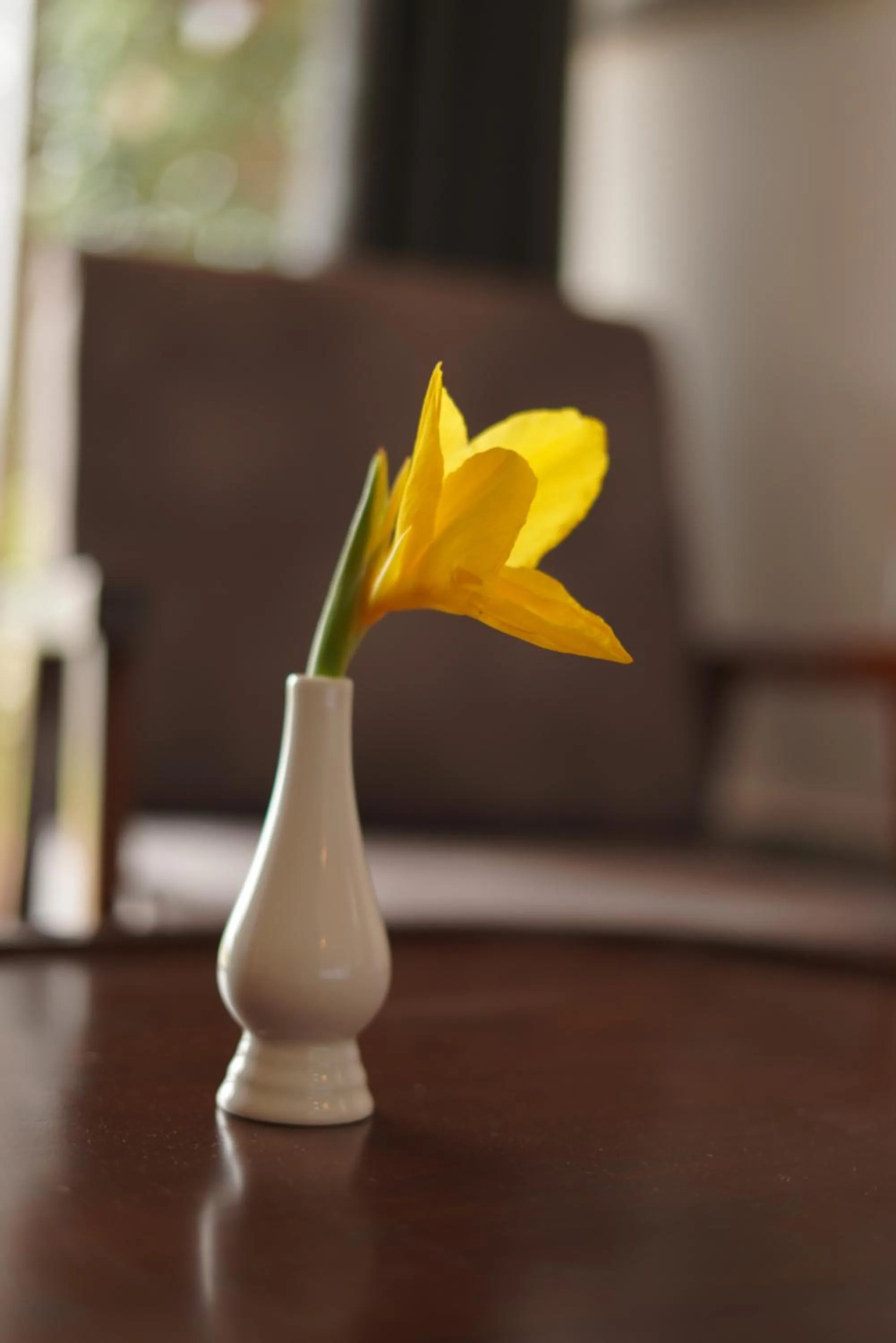 Other in Ravishing Retreat Resort