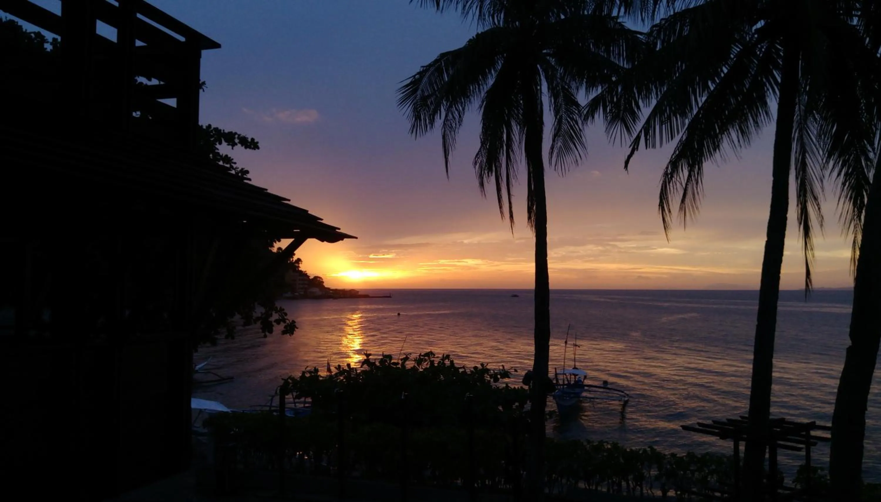 Natural landscape in Aquaventure Reef Club