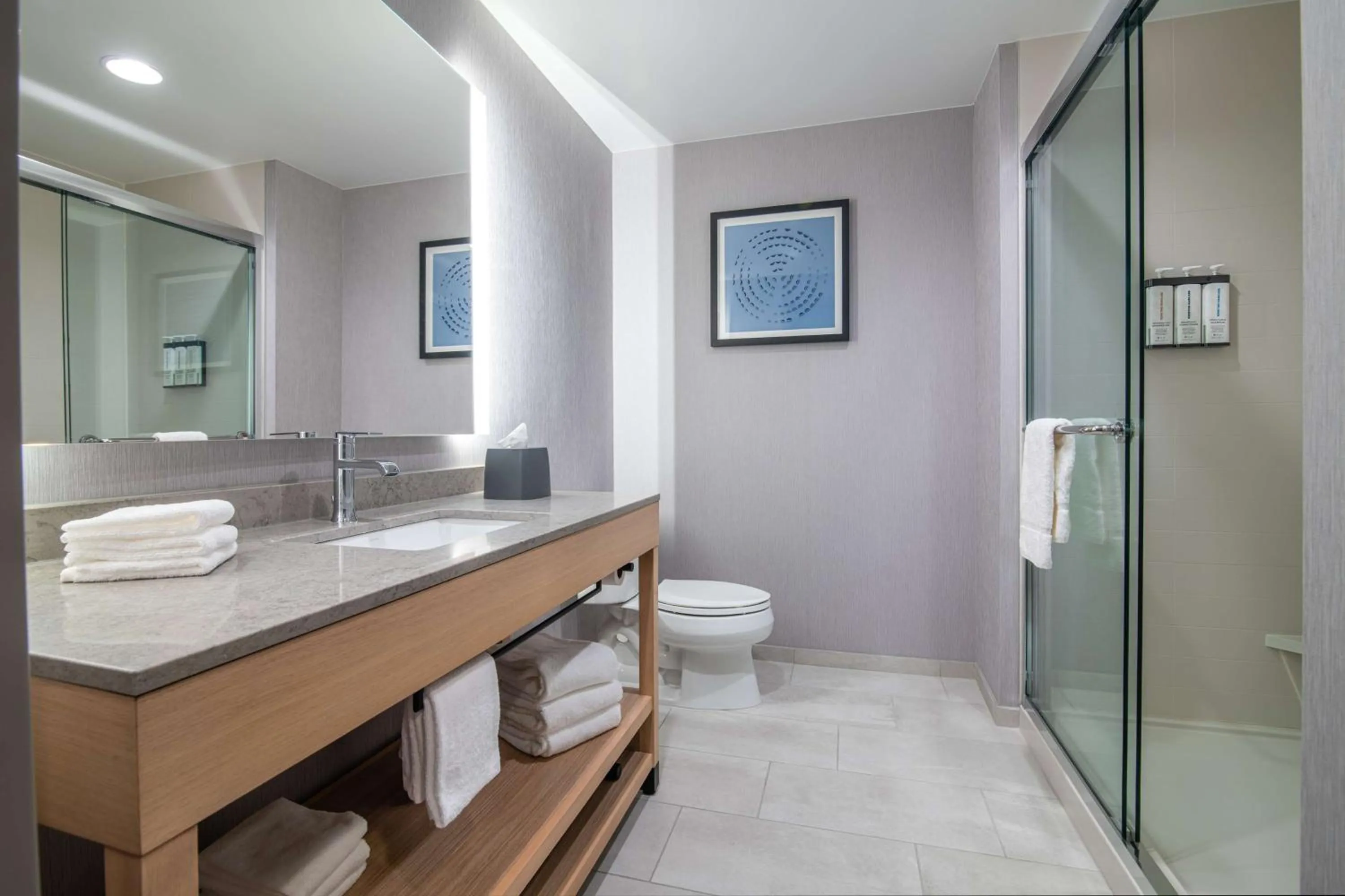 Bathroom in Hyatt Place Newark-Silicon Valley