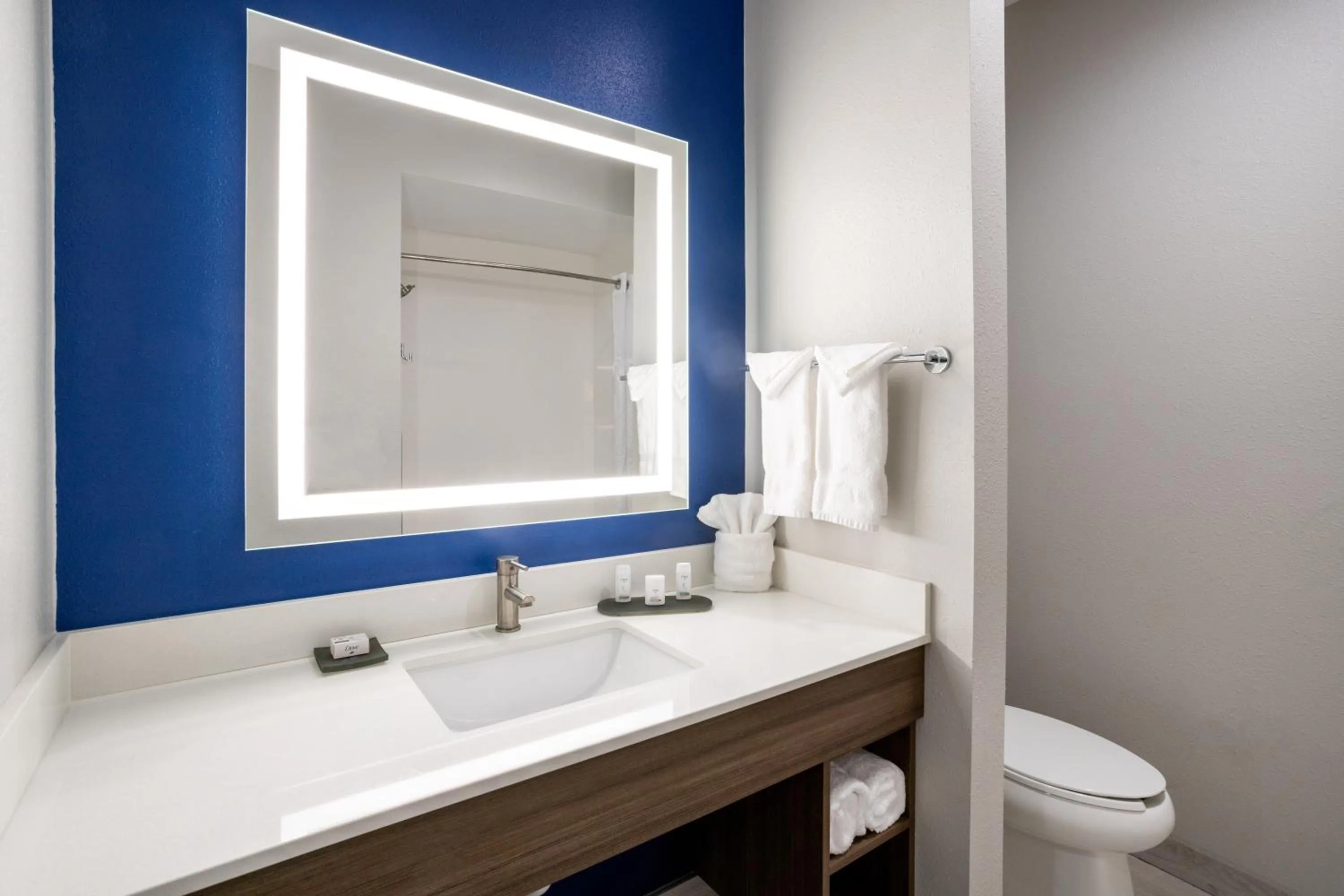 Bathroom in La Quinta Inn & Suites by Wyndham Valdosta