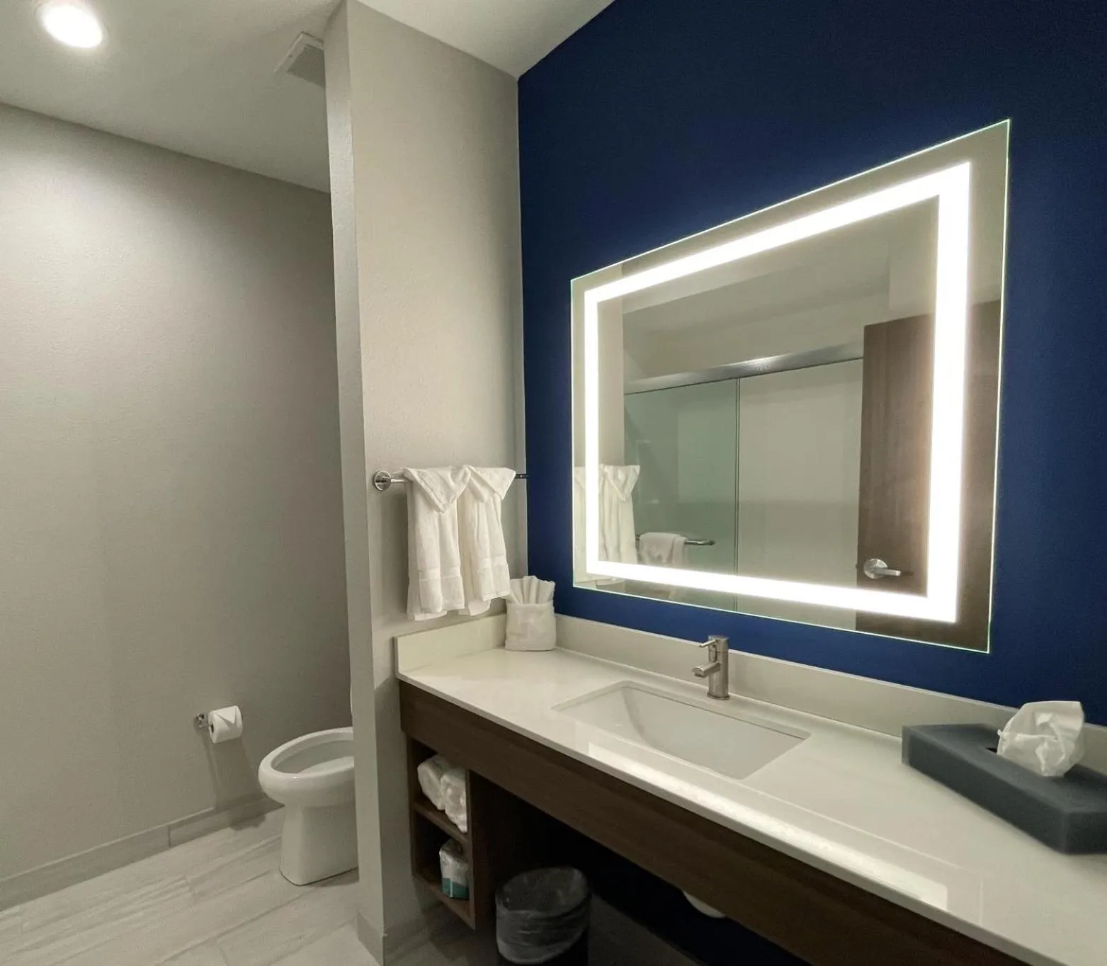 Bathroom in La Quinta Inn & Suites by Wyndham Valdosta