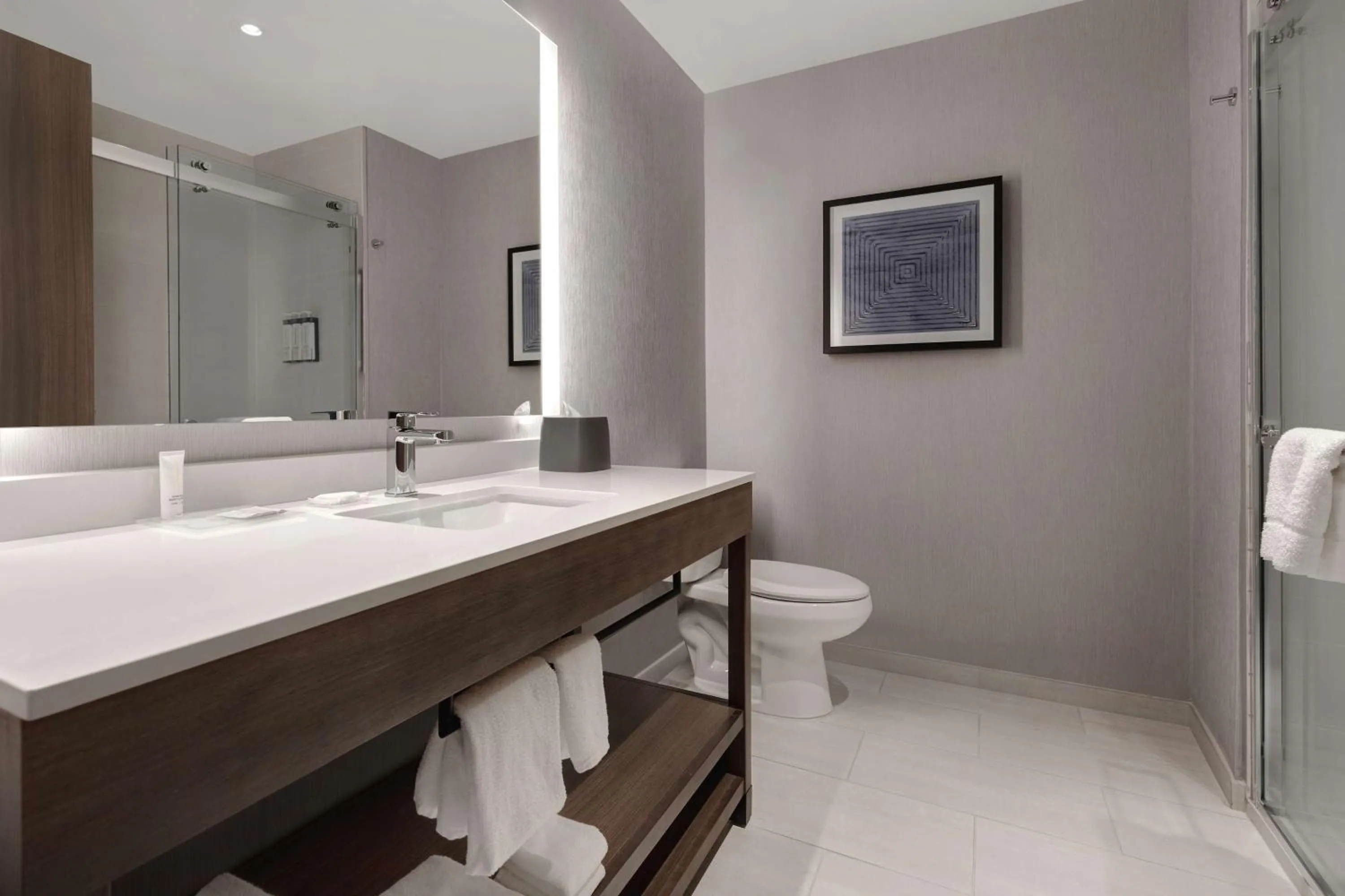 Bathroom in Hyatt Place Flagstaff