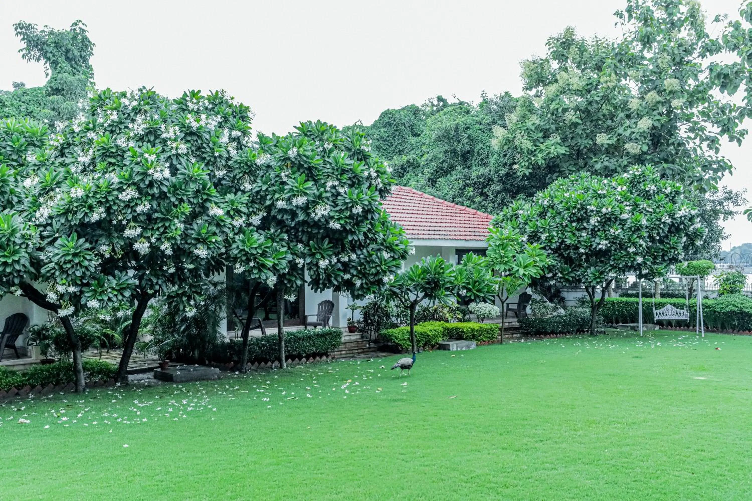 Garden in Saptapuri by Royal Orchid Hotels Limited Varanasi
