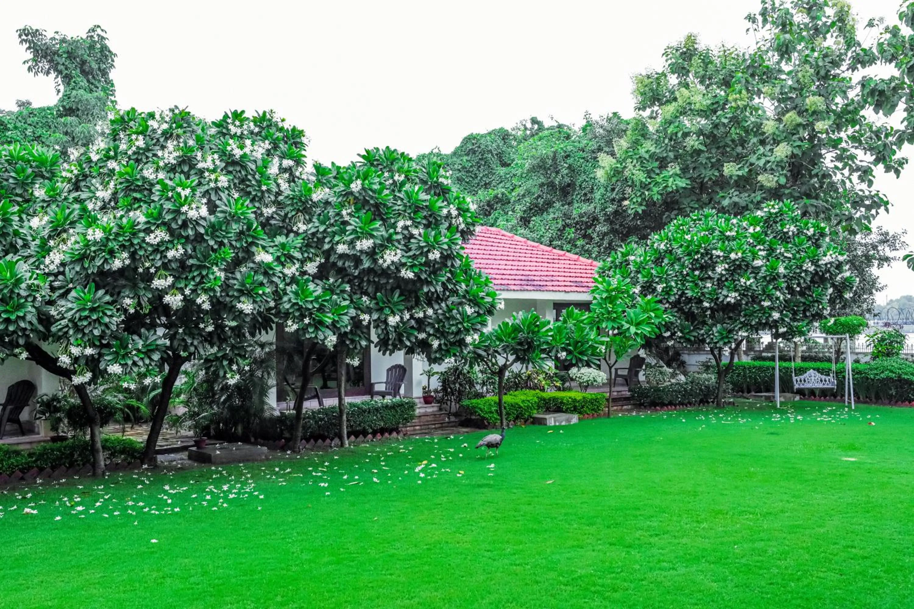Garden view in Saptapuri by Royal Orchid Hotels Limited Varanasi
