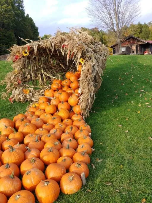 Day in Spacious country retreat close to town and nature, Sylvana Farm VT