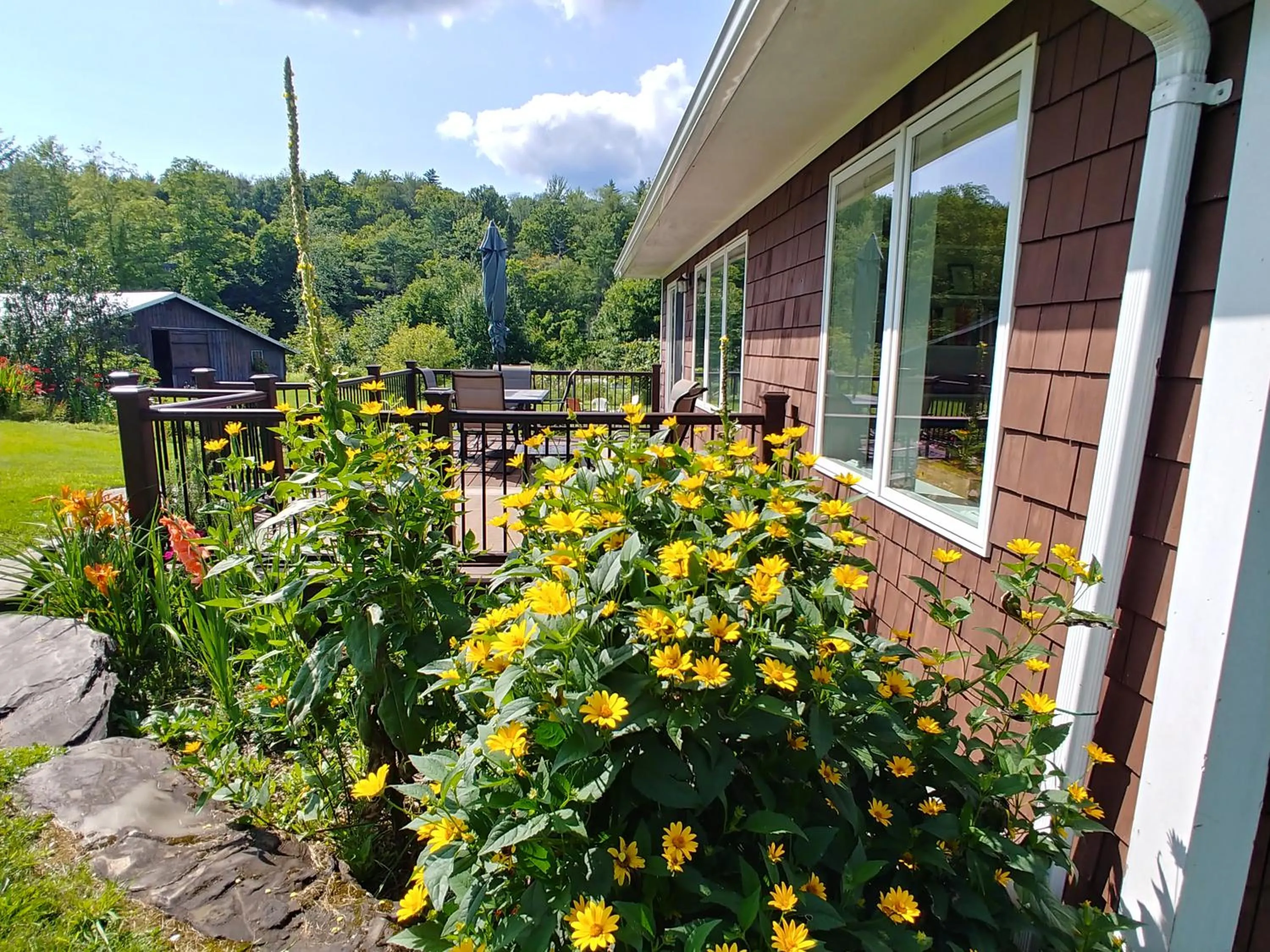 View (from property/room) in Spacious country retreat close to town and nature, Sylvana Farm VT