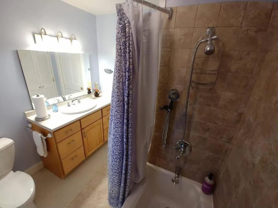 Shower in Spacious country retreat close to town and nature, Sylvana Farm VT