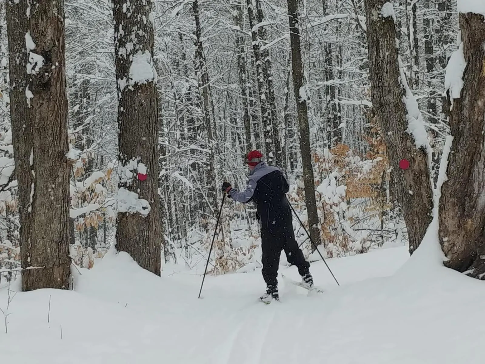 Winter in Spacious country retreat close to town and nature, Sylvana Farm VT