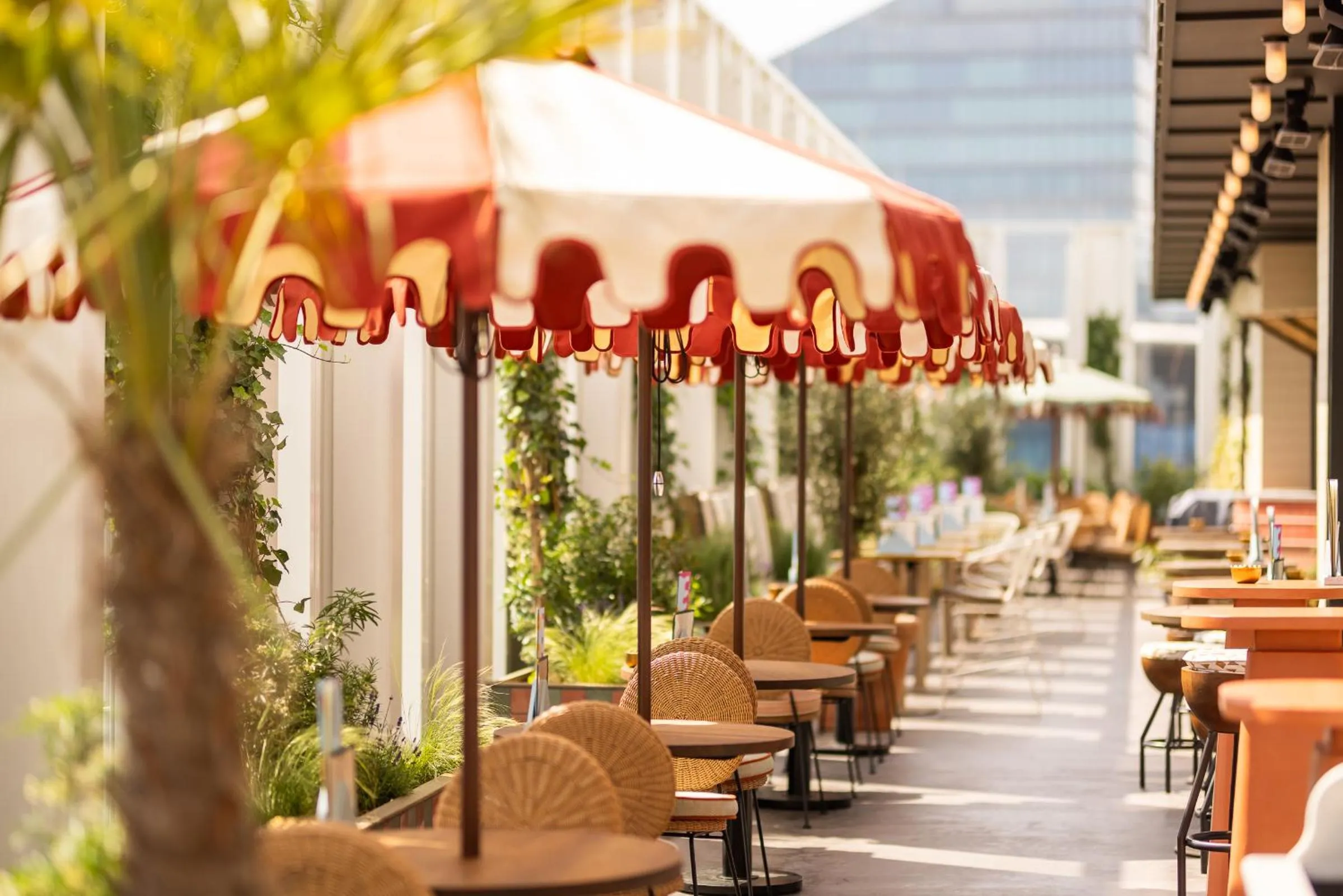 Restaurant/places to eat in The Hoxton, Brussels