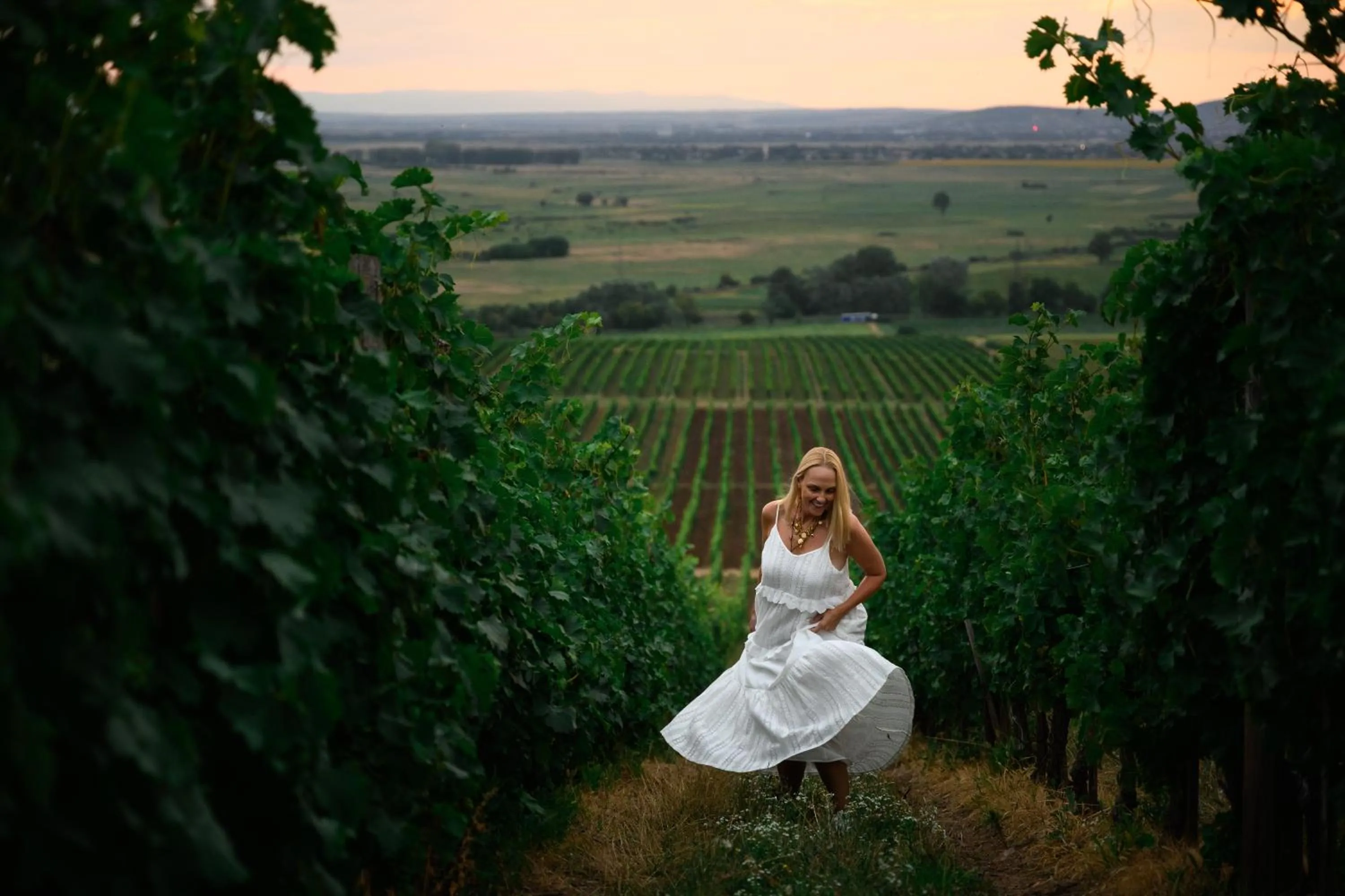 Neighbourhood in Minaro Hotel Tokaj - MGallery Collection