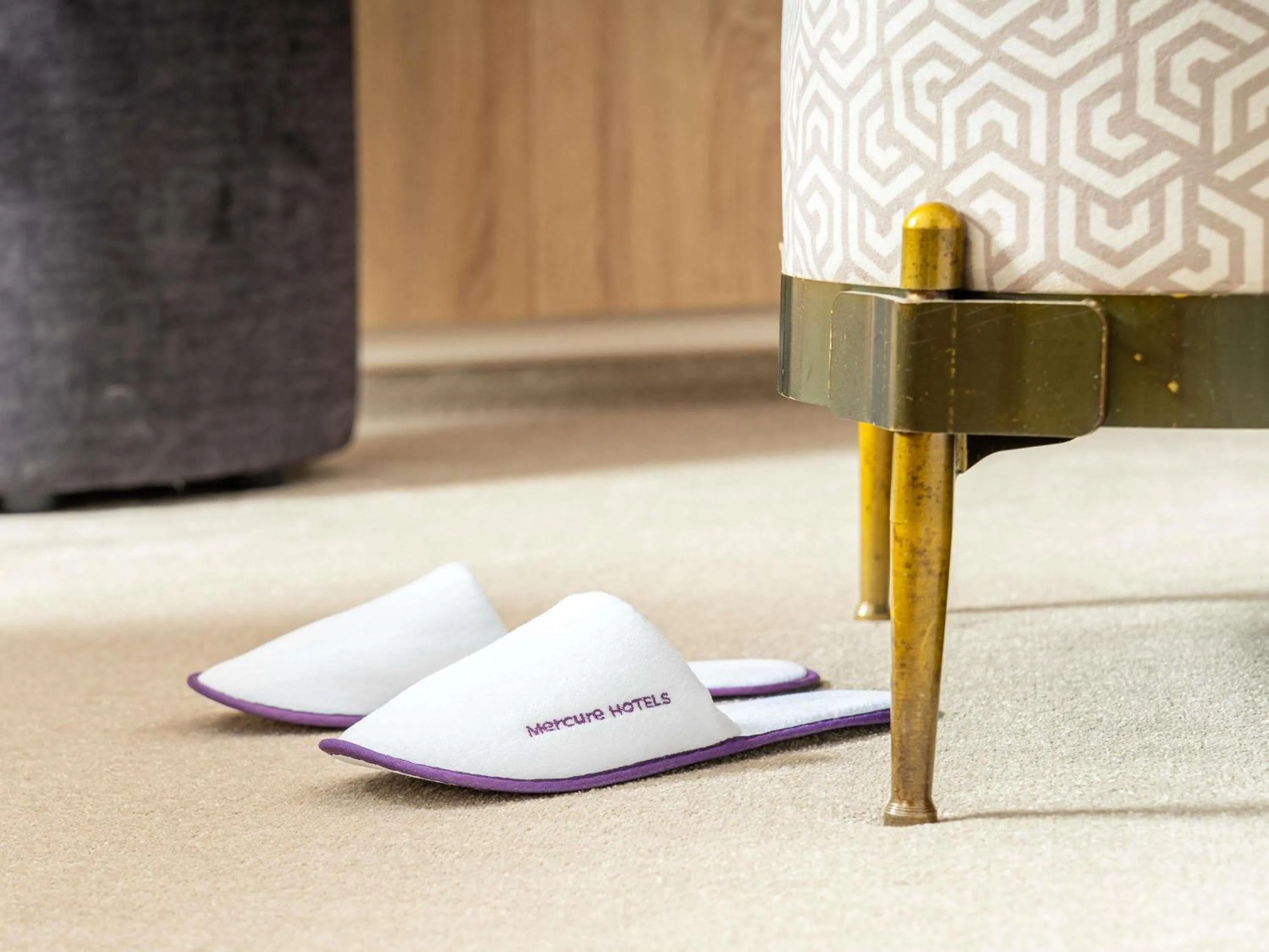 Other in Mercure Conacul Cozieni