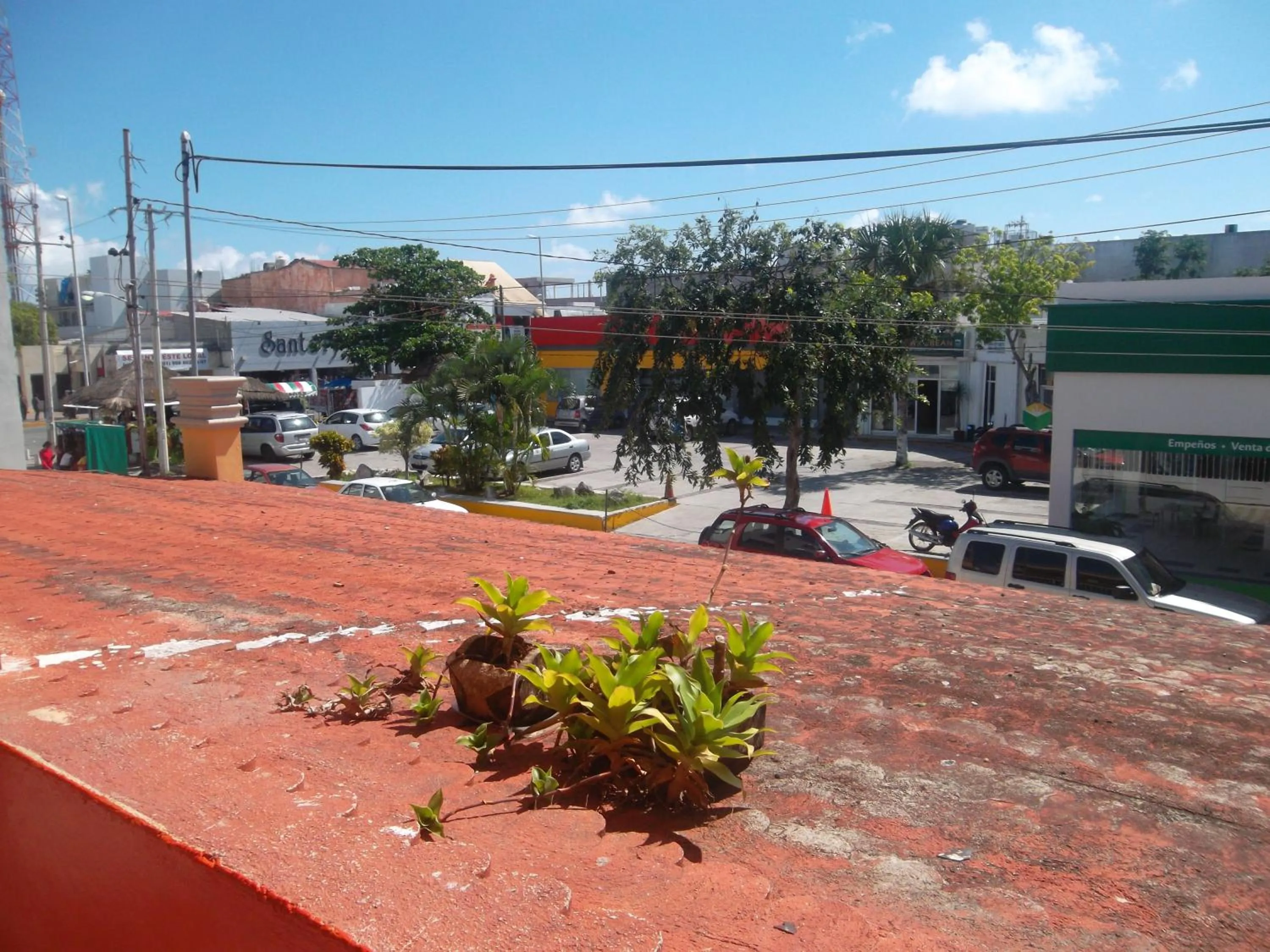 View (from property/room) in Appartamenti Melissa