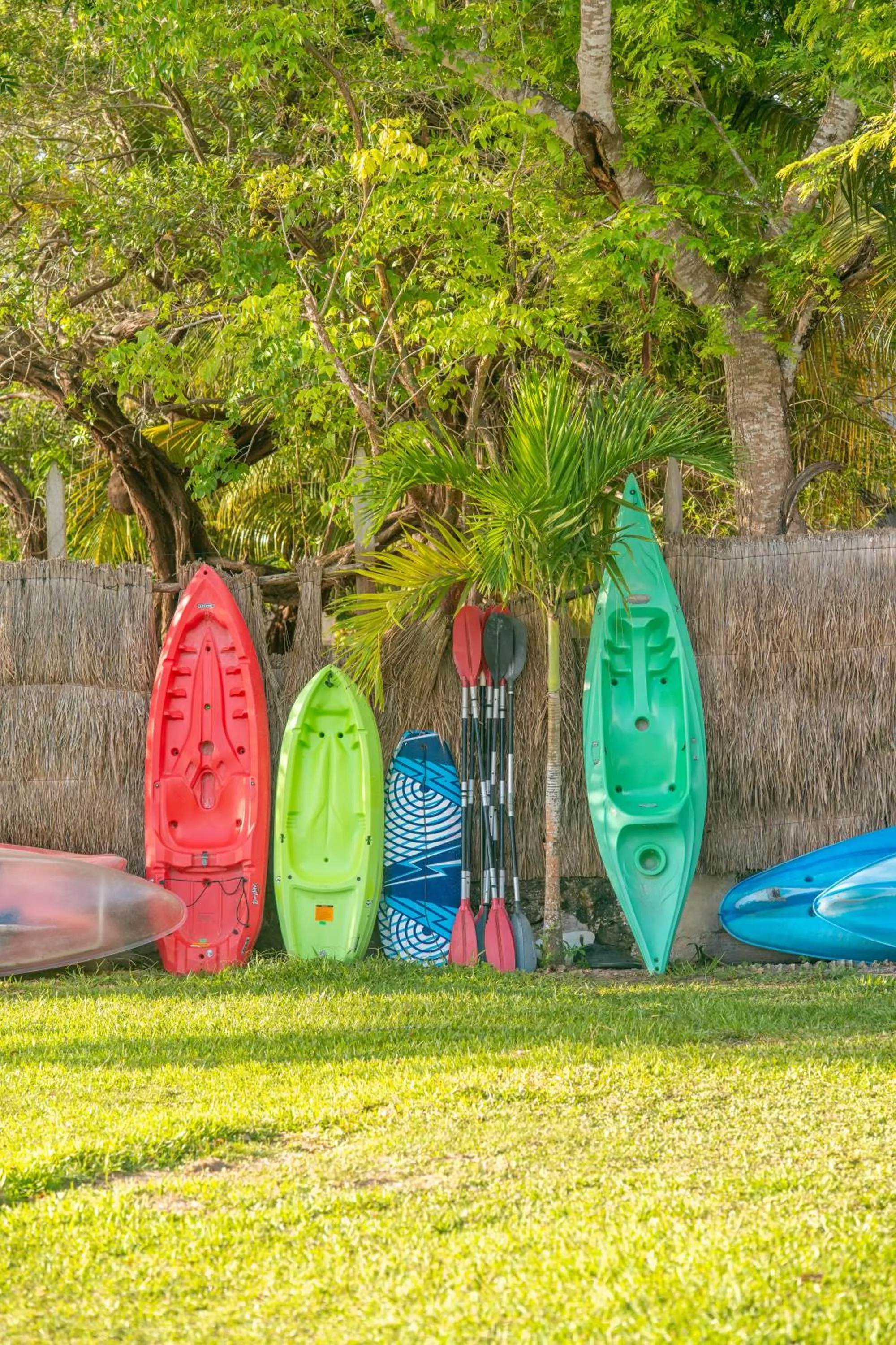 Activities in Pepos Xul-Ha