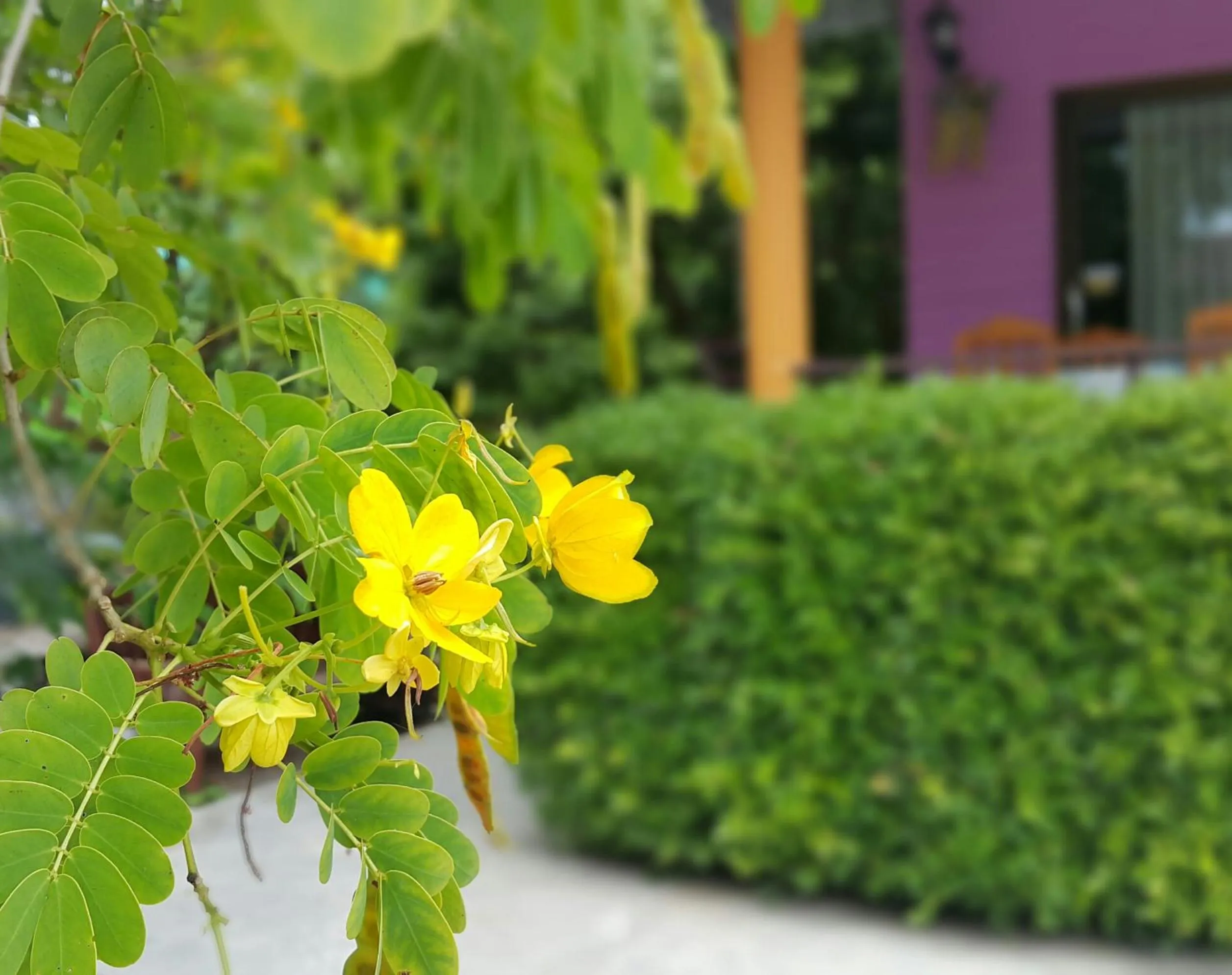 Warakorn Baansuan Amphawa