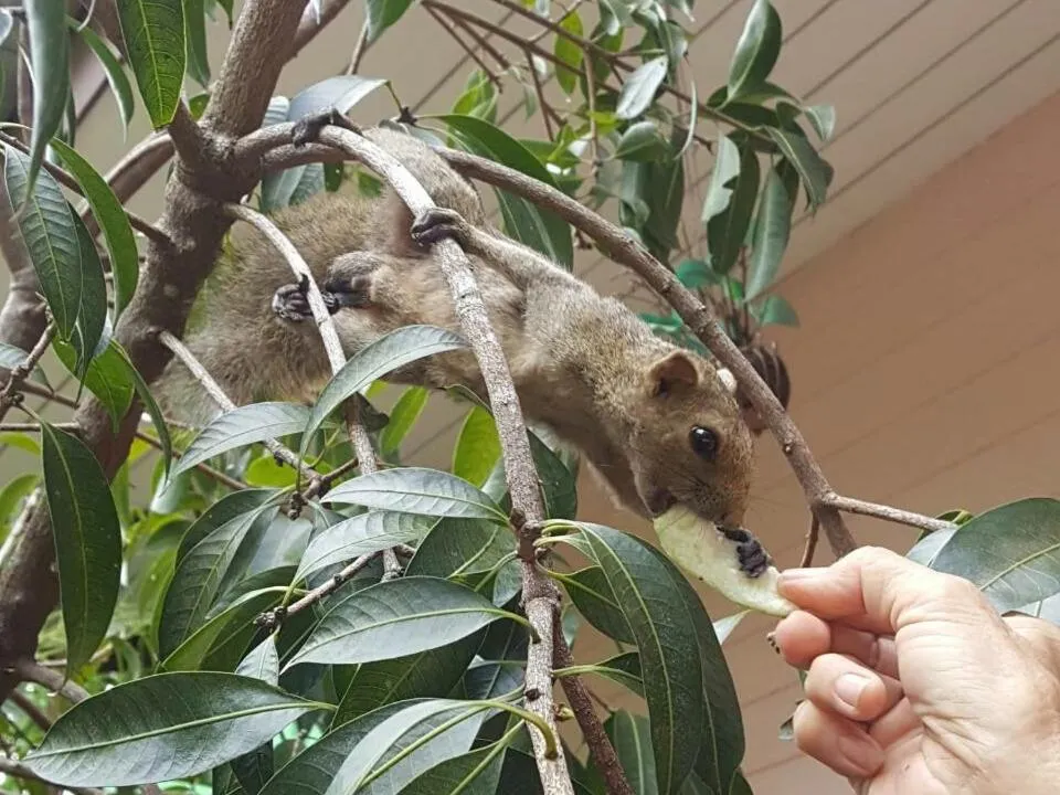 Warakorn Baansuan Amphawa