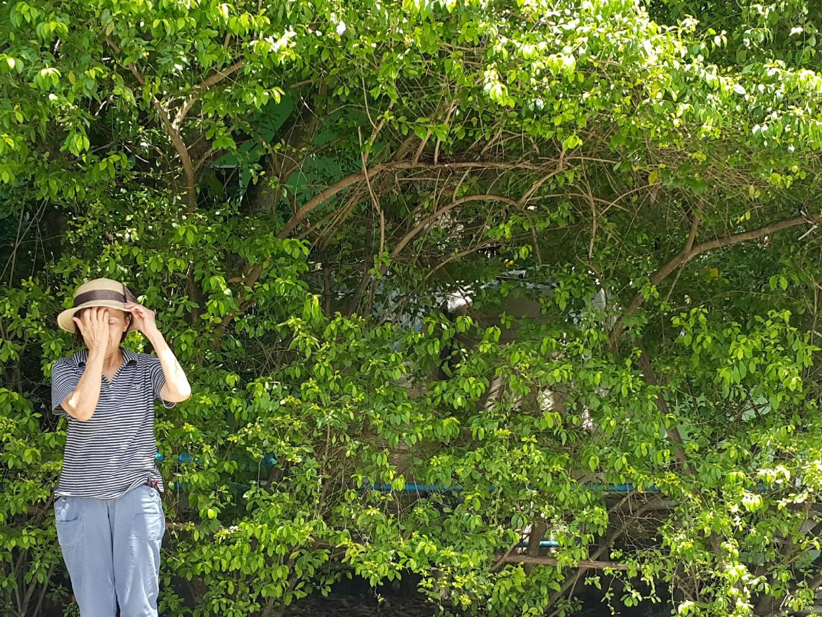 Warakorn Baansuan Amphawa