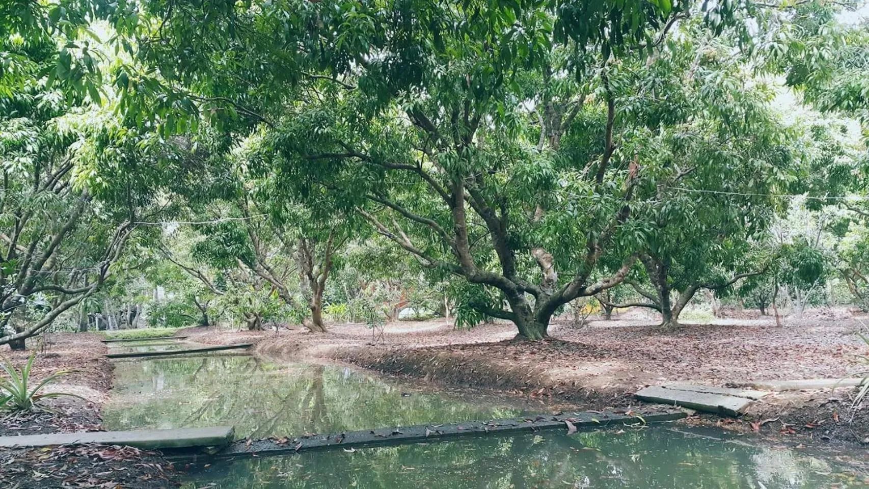 Warakorn Baansuan Amphawa