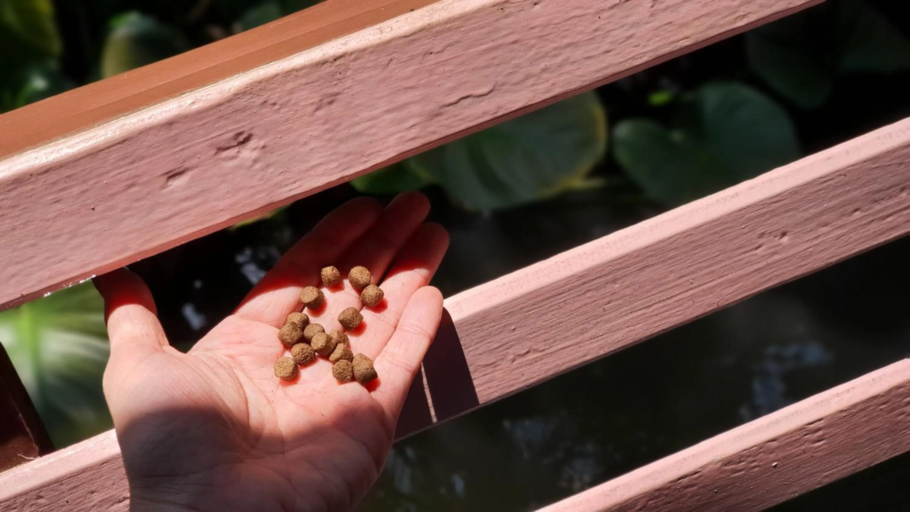 Warakorn Baansuan Amphawa