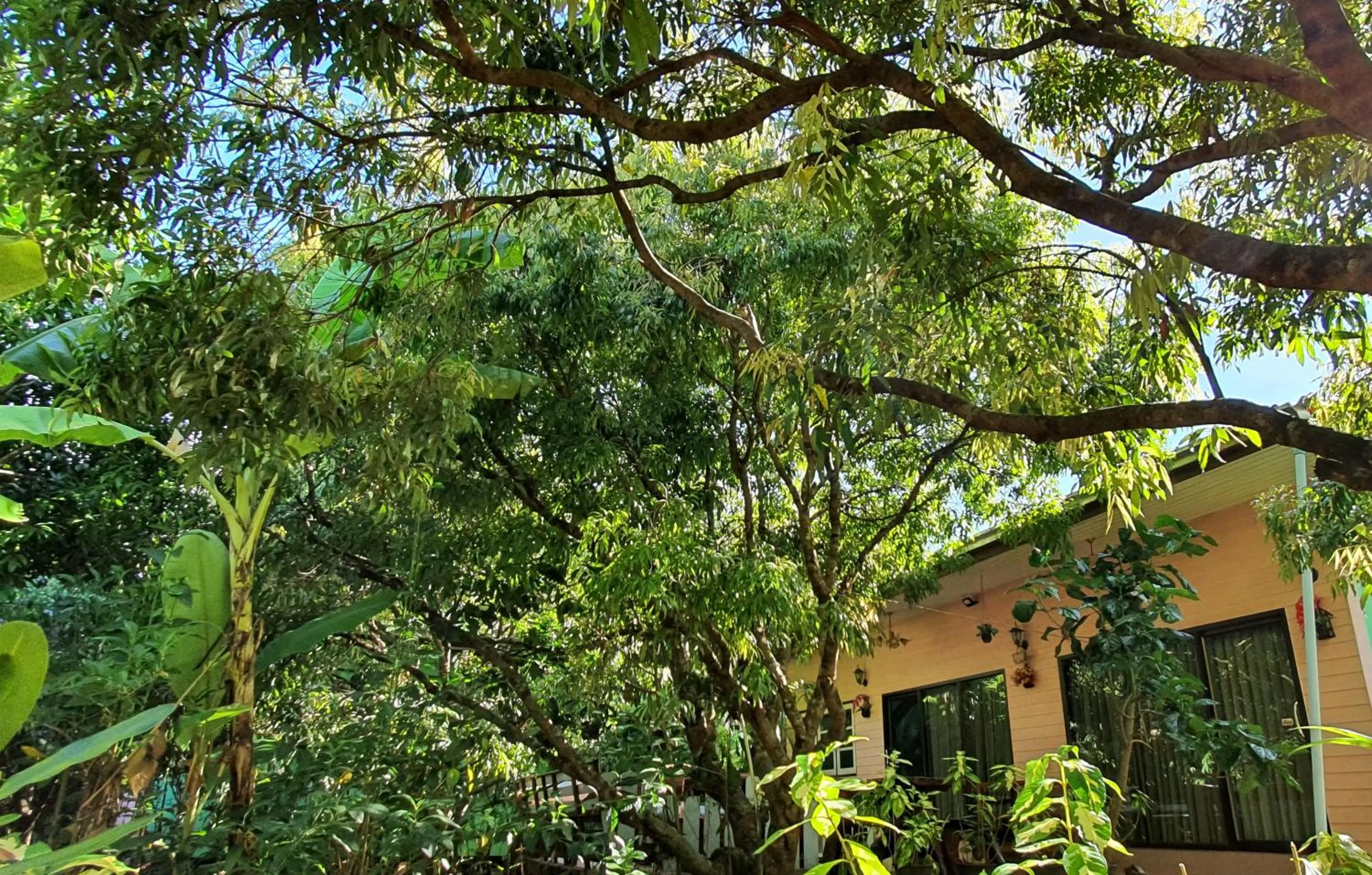 Warakorn Baansuan Amphawa