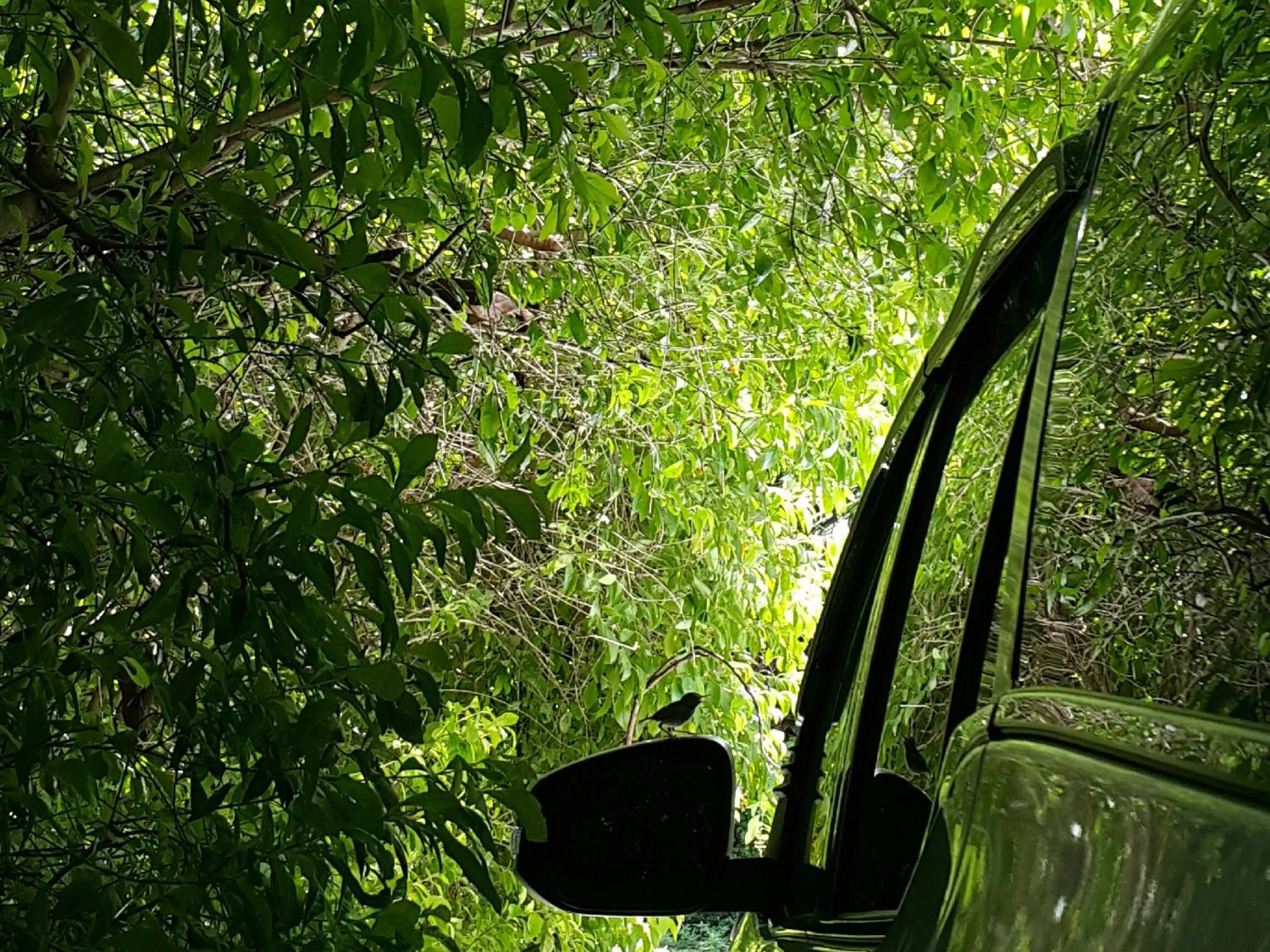 Warakorn Baansuan Amphawa