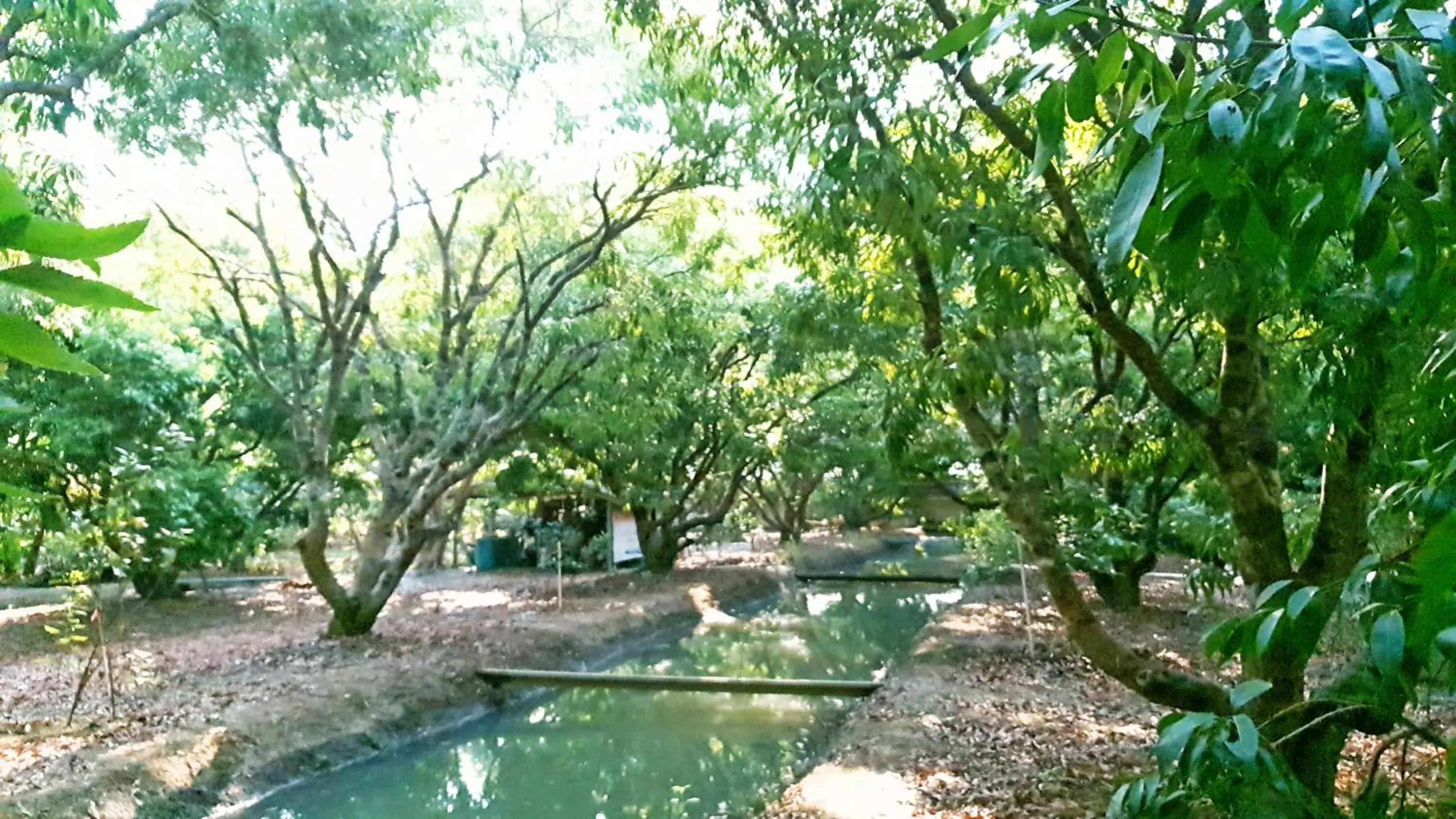 Warakorn Baansuan Amphawa