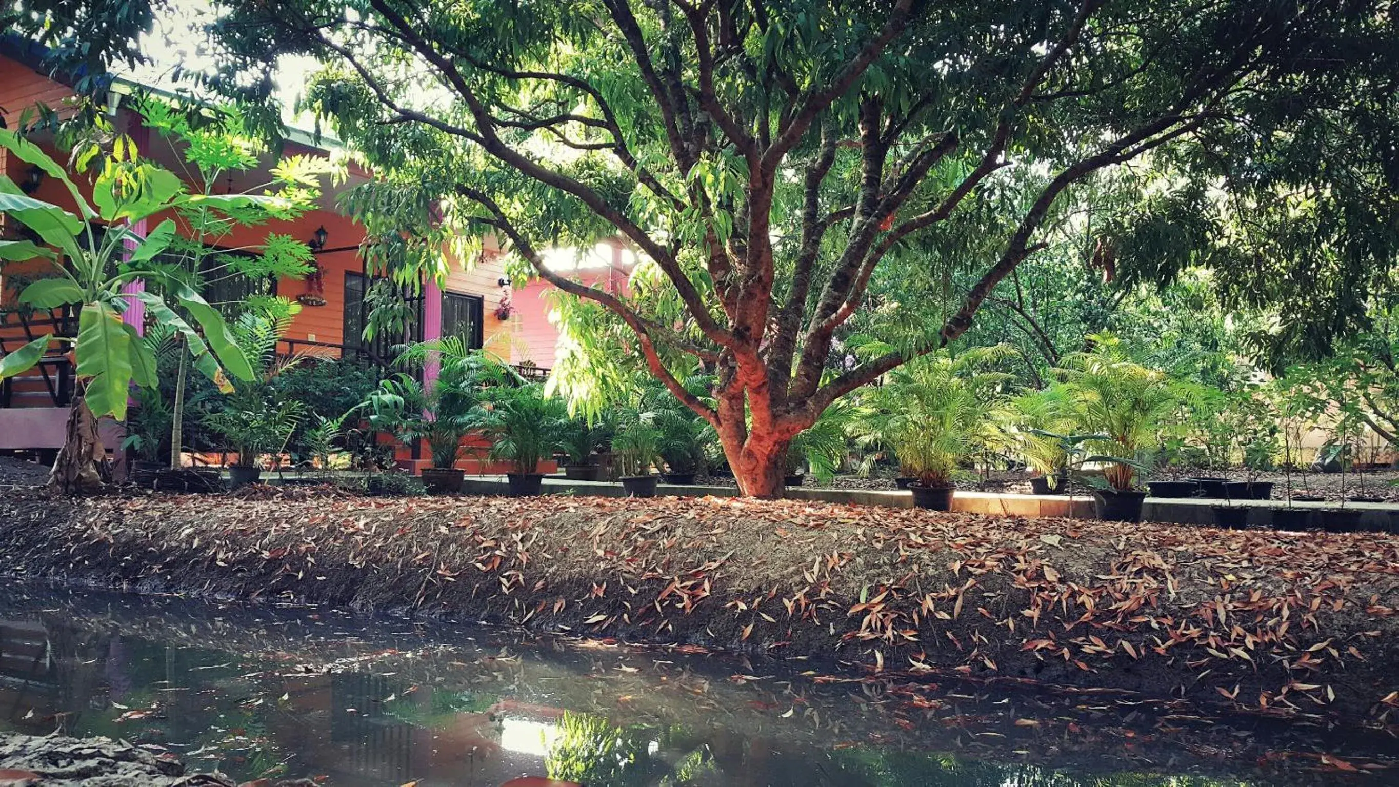 Warakorn Baansuan Amphawa Warakorn Baansuan Amphawa