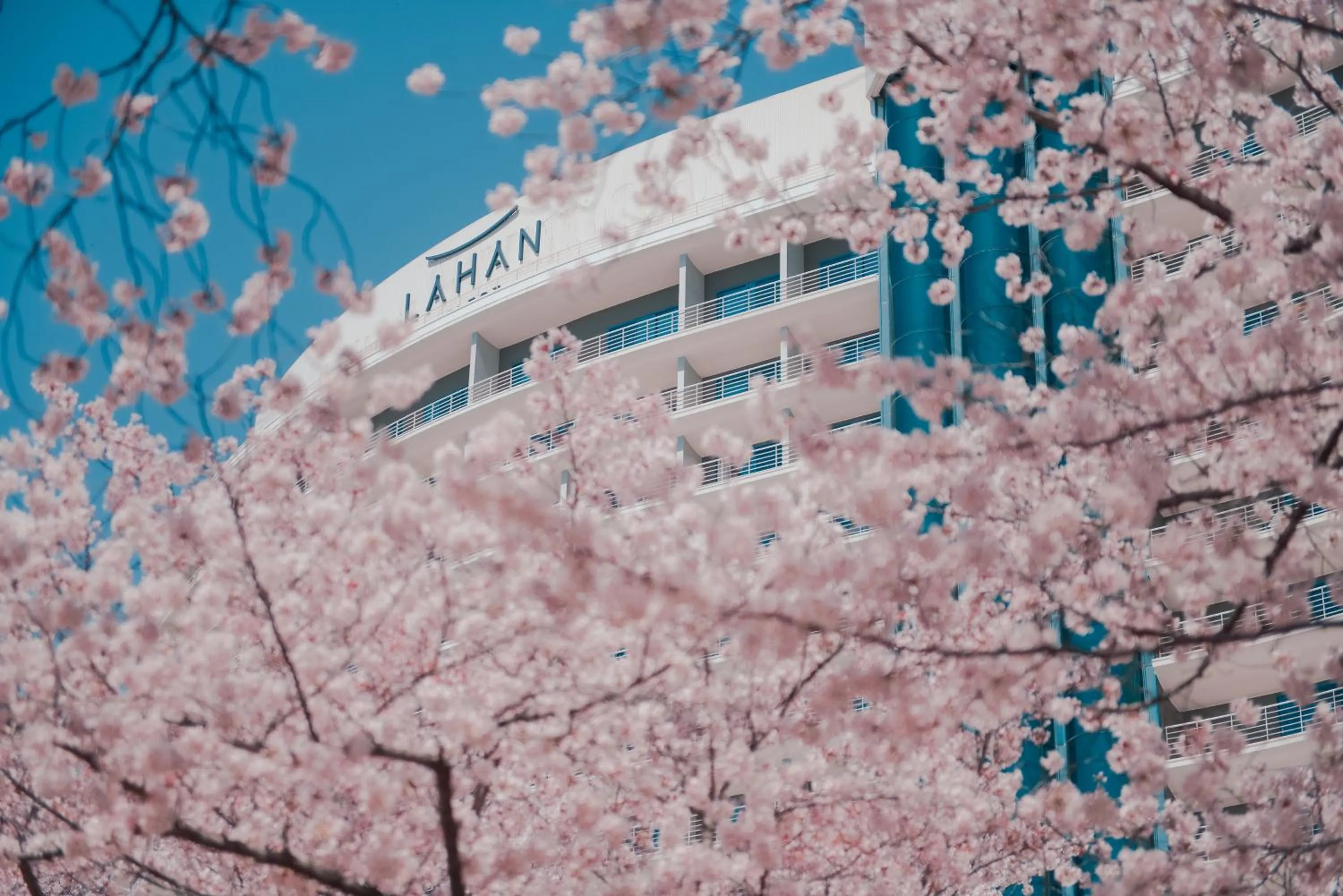 Spring in Lahan Select Gyeongju