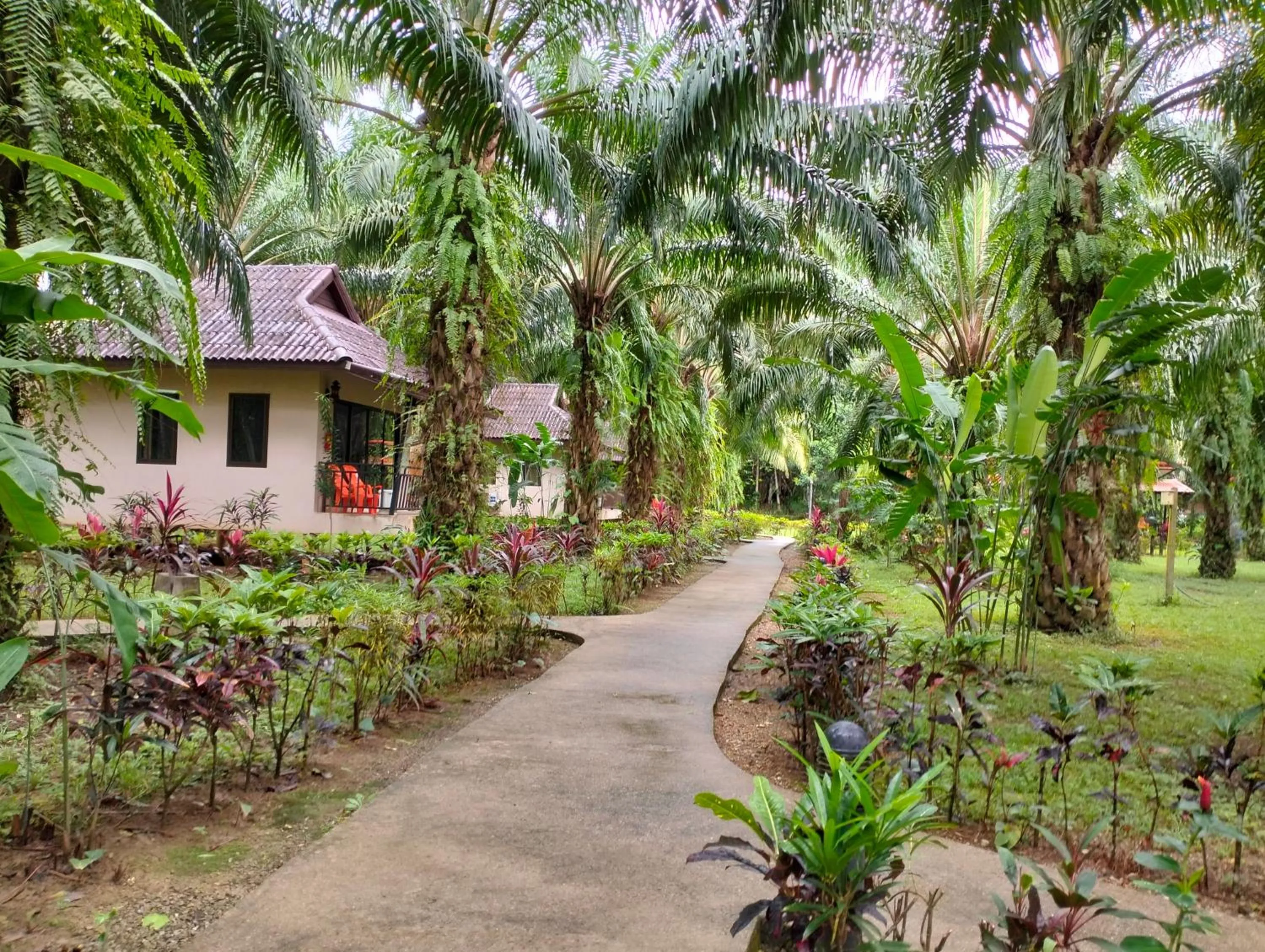 Khao Sok Palm Garden Resort