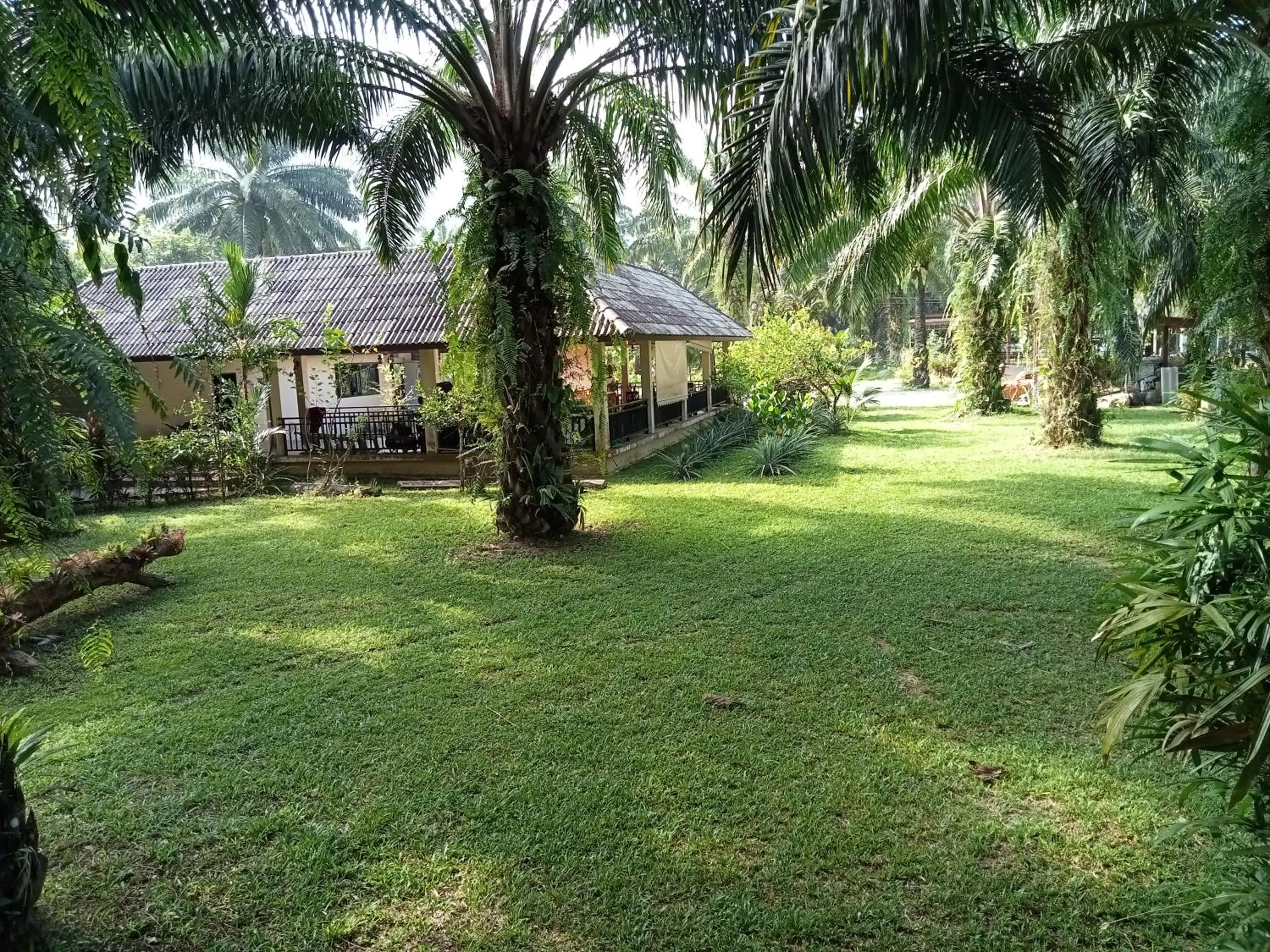 Khao Sok Palm Garden Resort