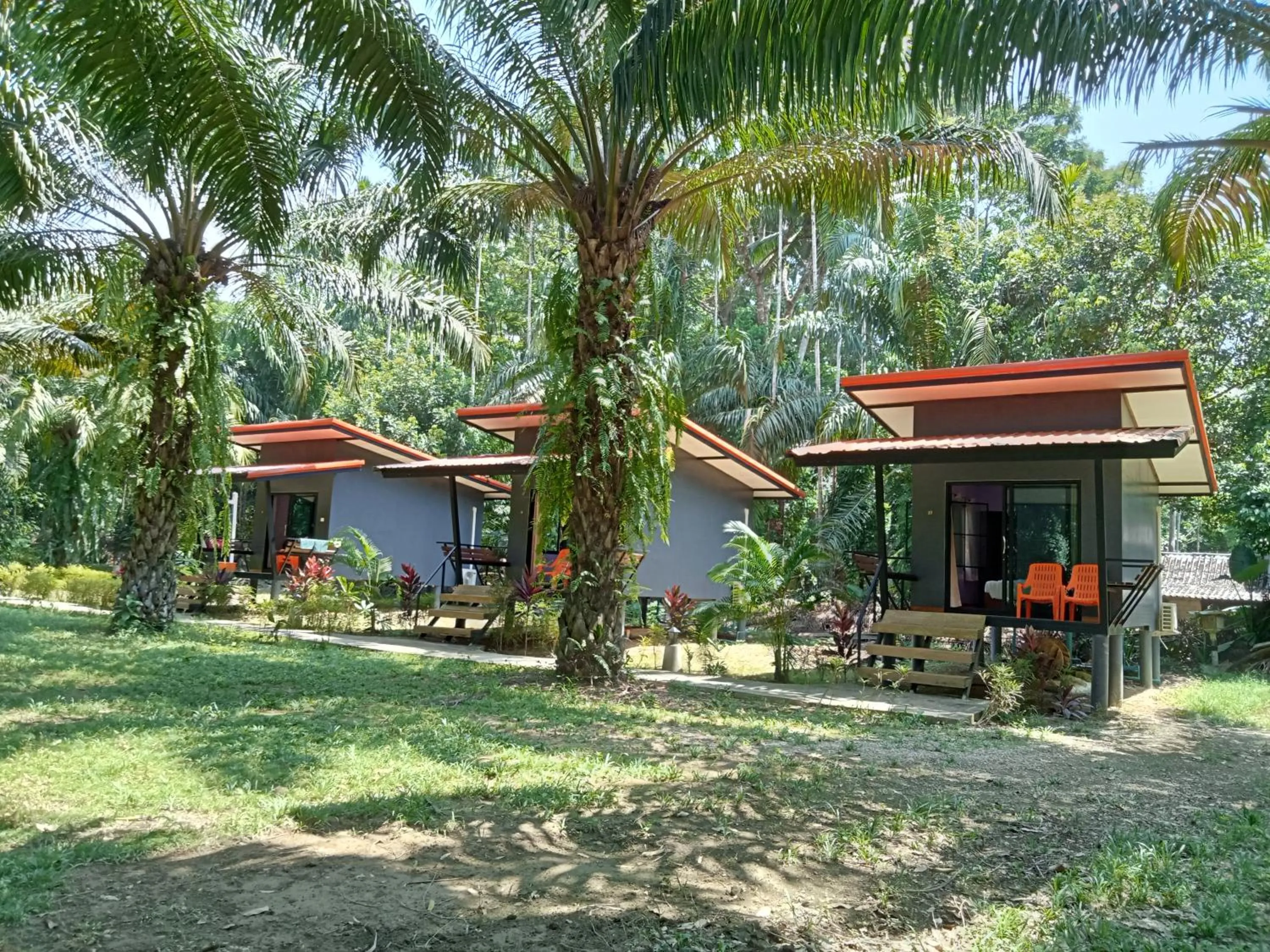 Khao Sok Palm Garden Resort