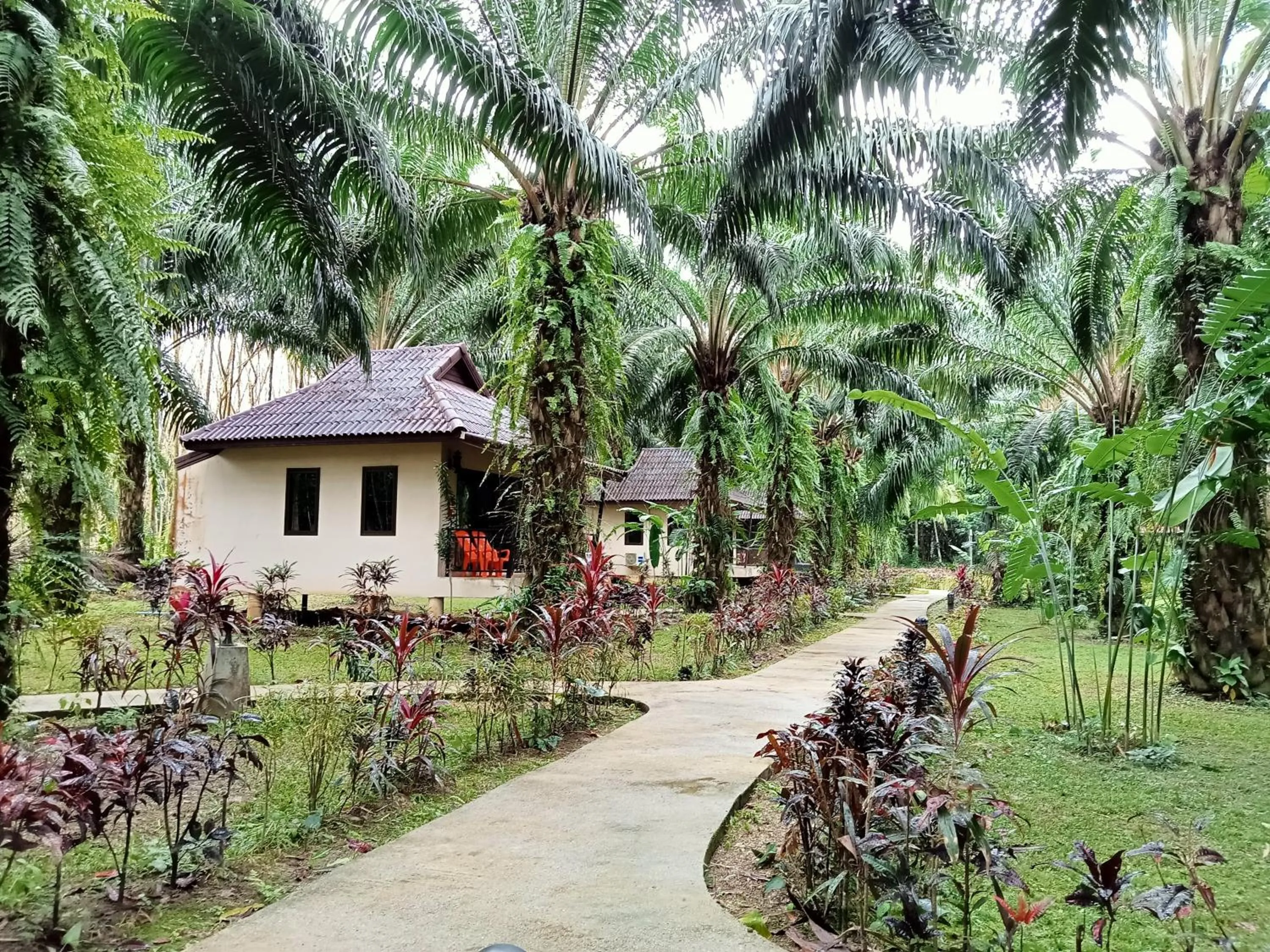 Khao Sok Palm Garden Resort
