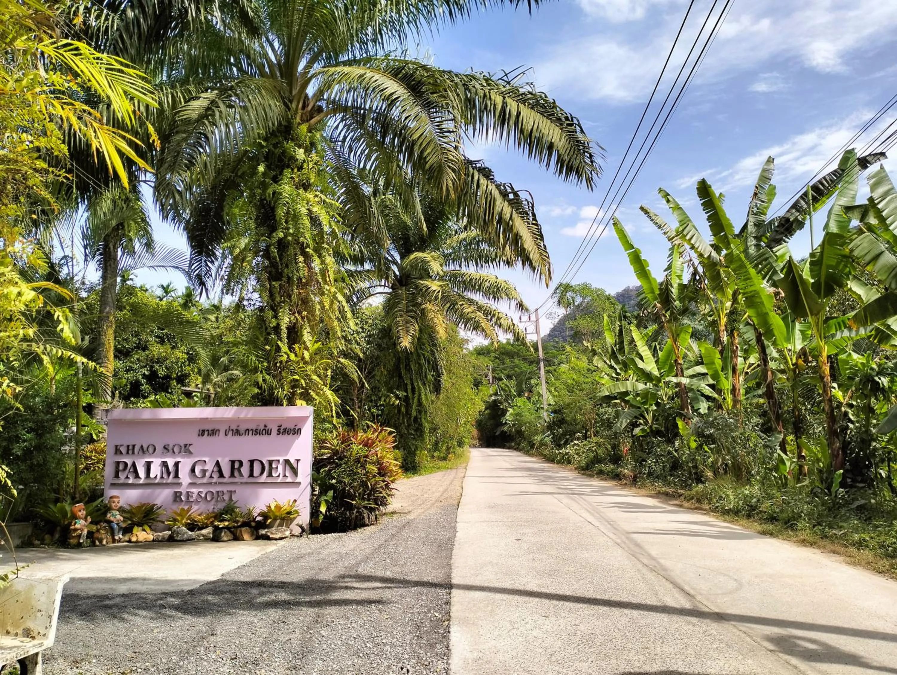 Natural landscape in Khao Sok Palm Garden Resort