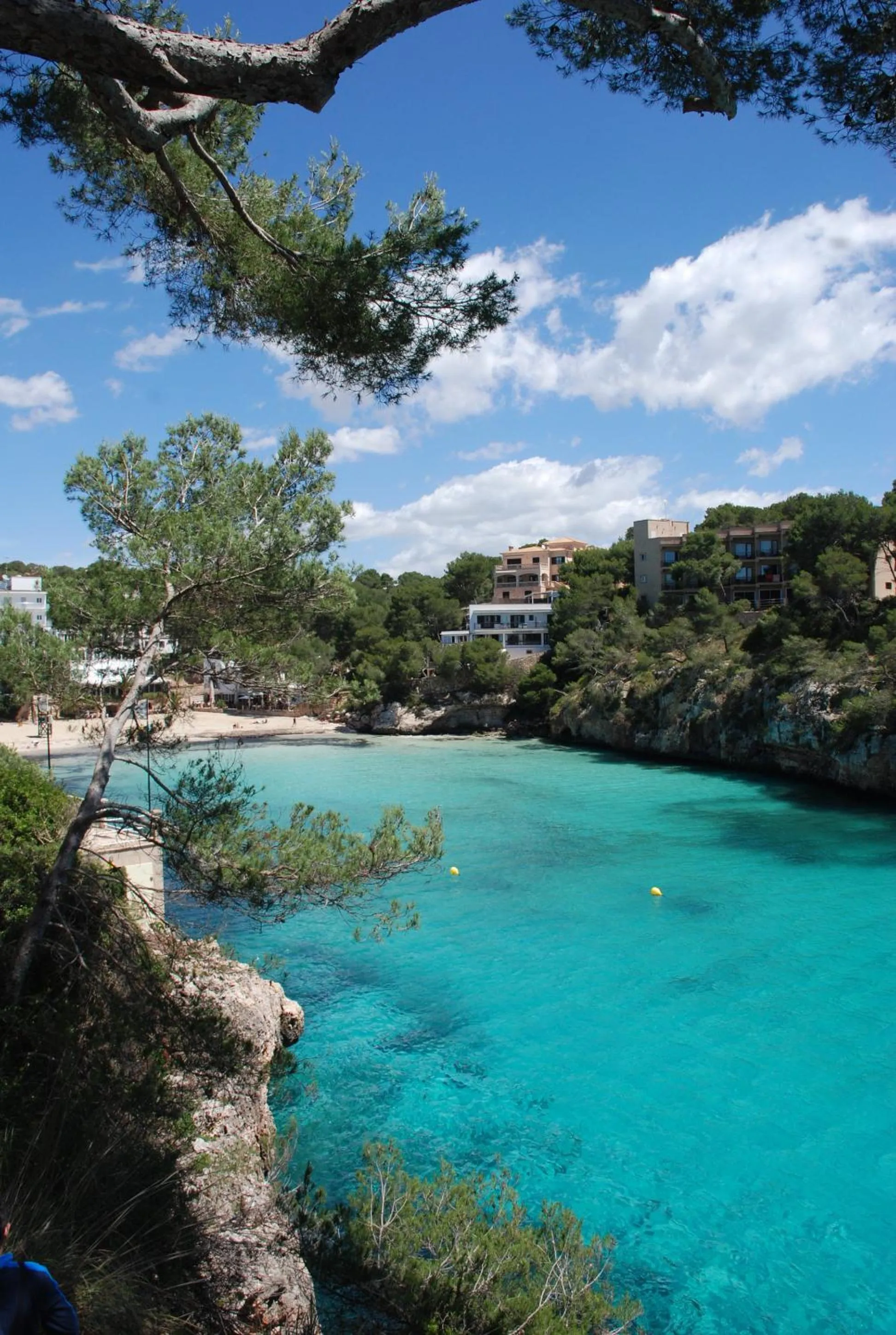 Natural landscape in Hotel Pinos Playa