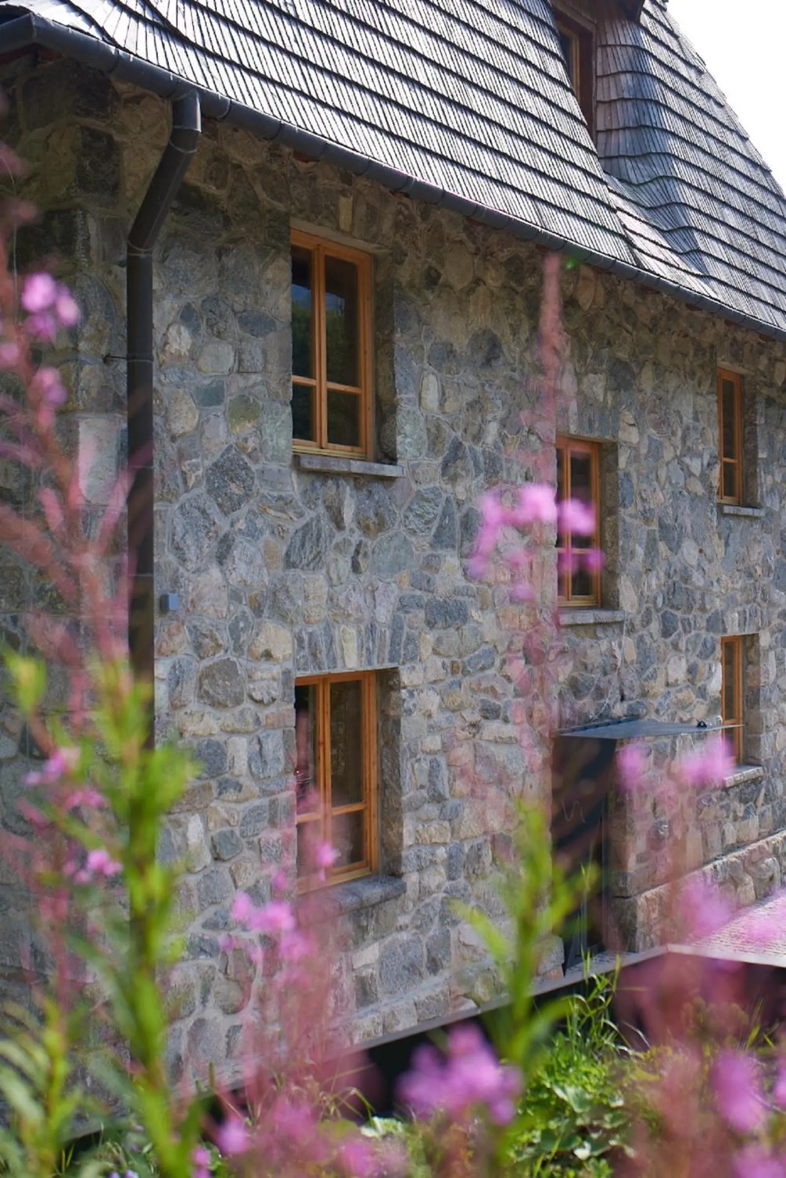 Property building in EnHotel