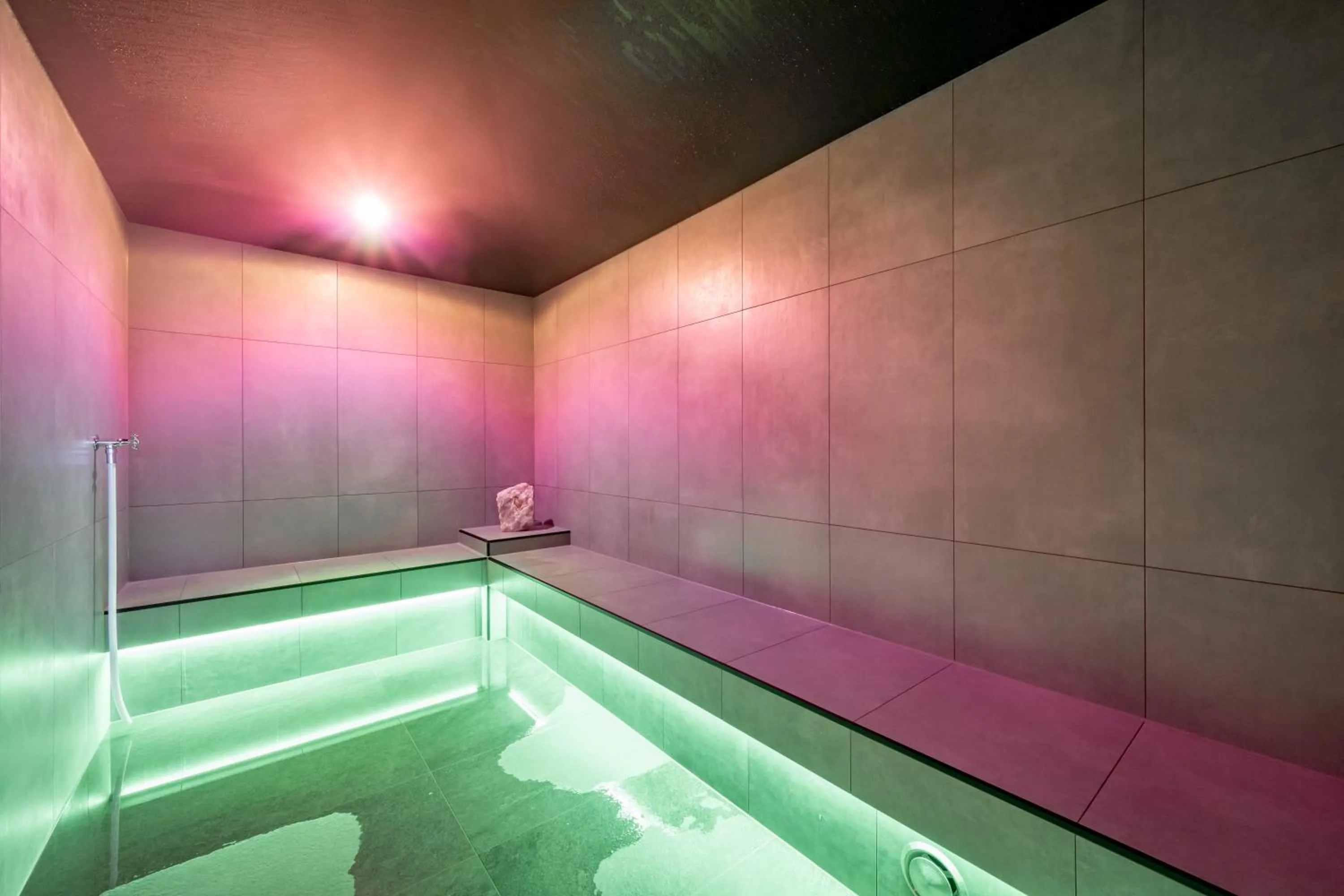 Steam room in The Moss - Your unique hideaway