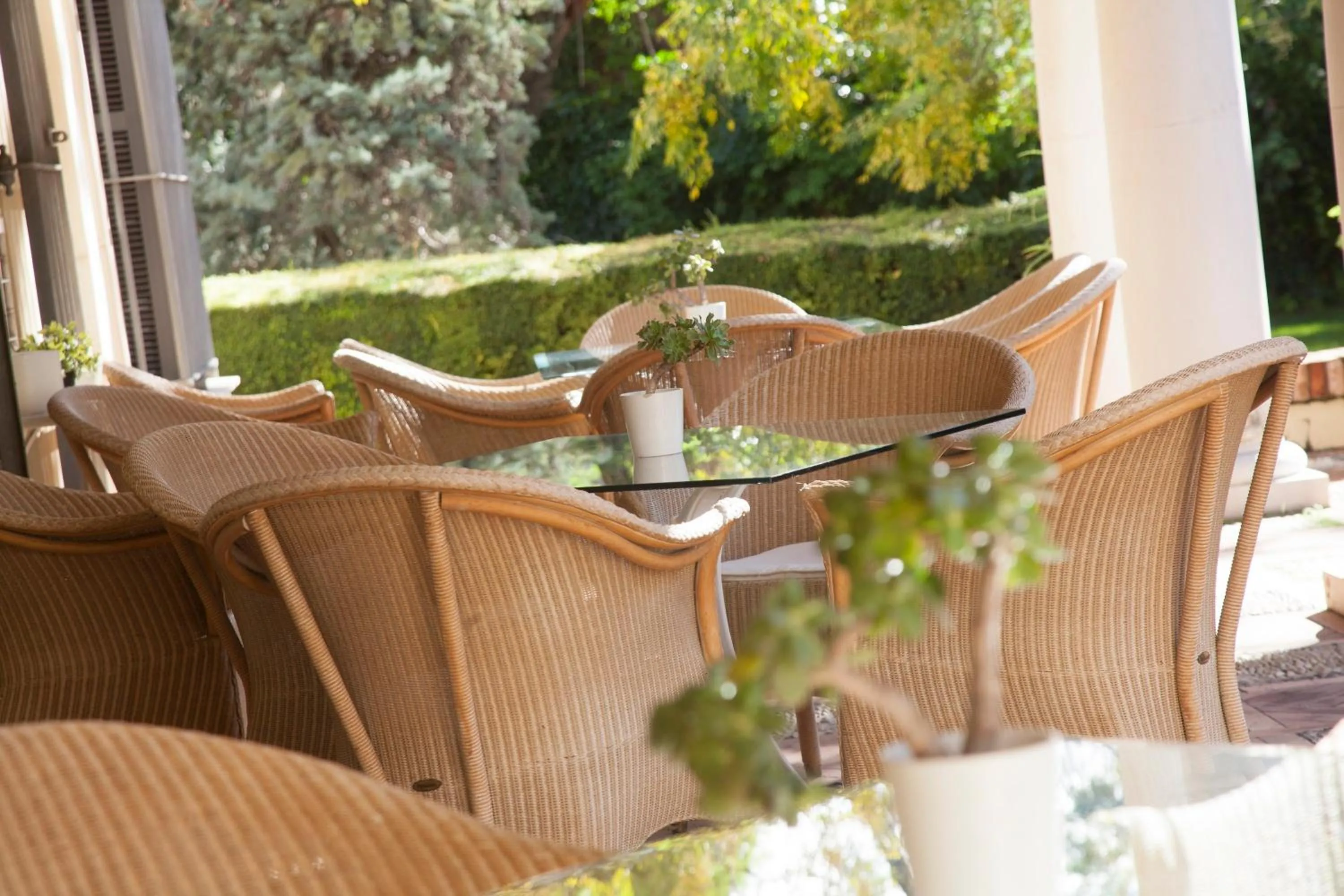 Garden in Villa Jerez