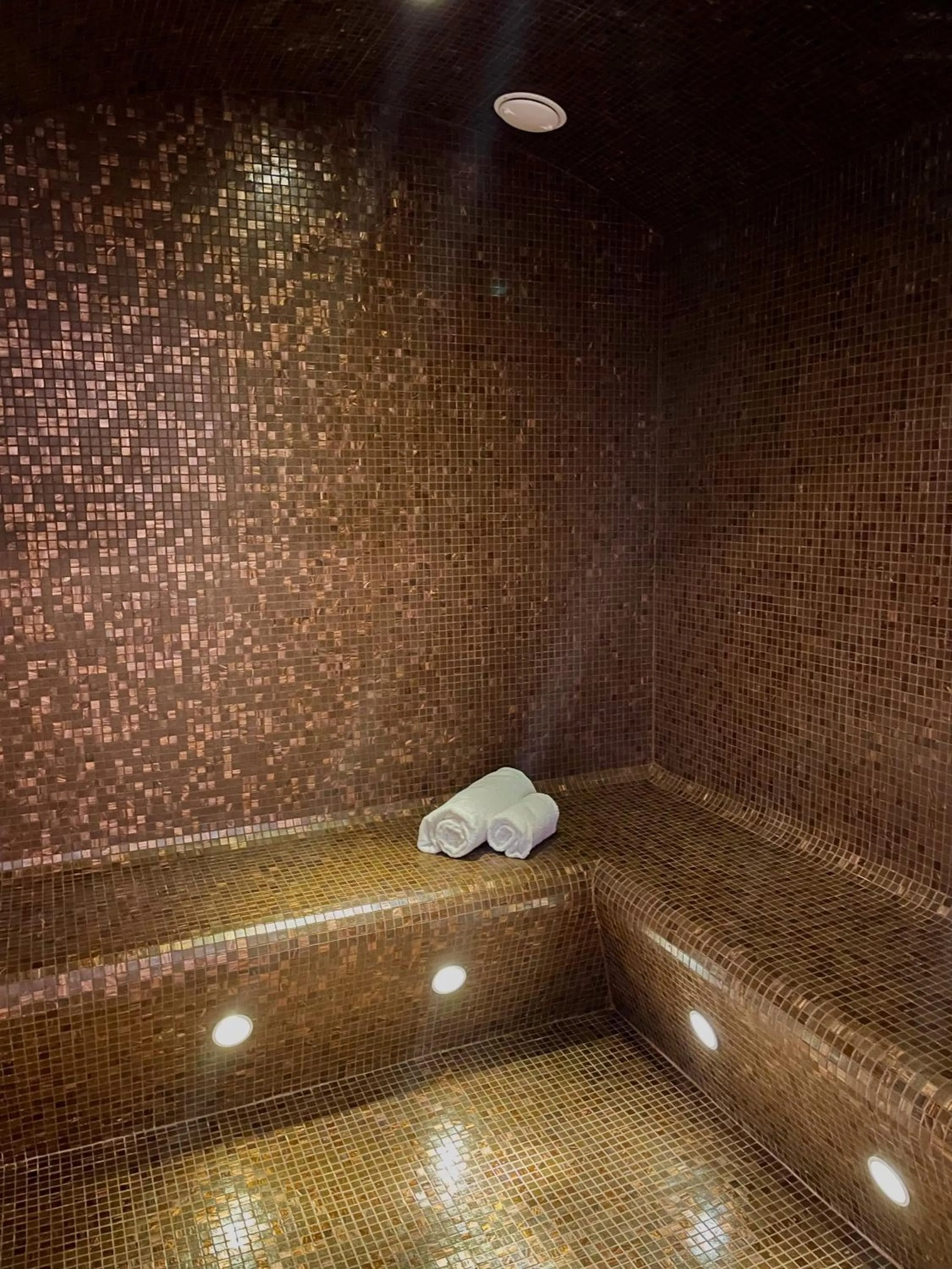Steam room in L'INVITATION AU VOYAGE - Hôtel & Spa