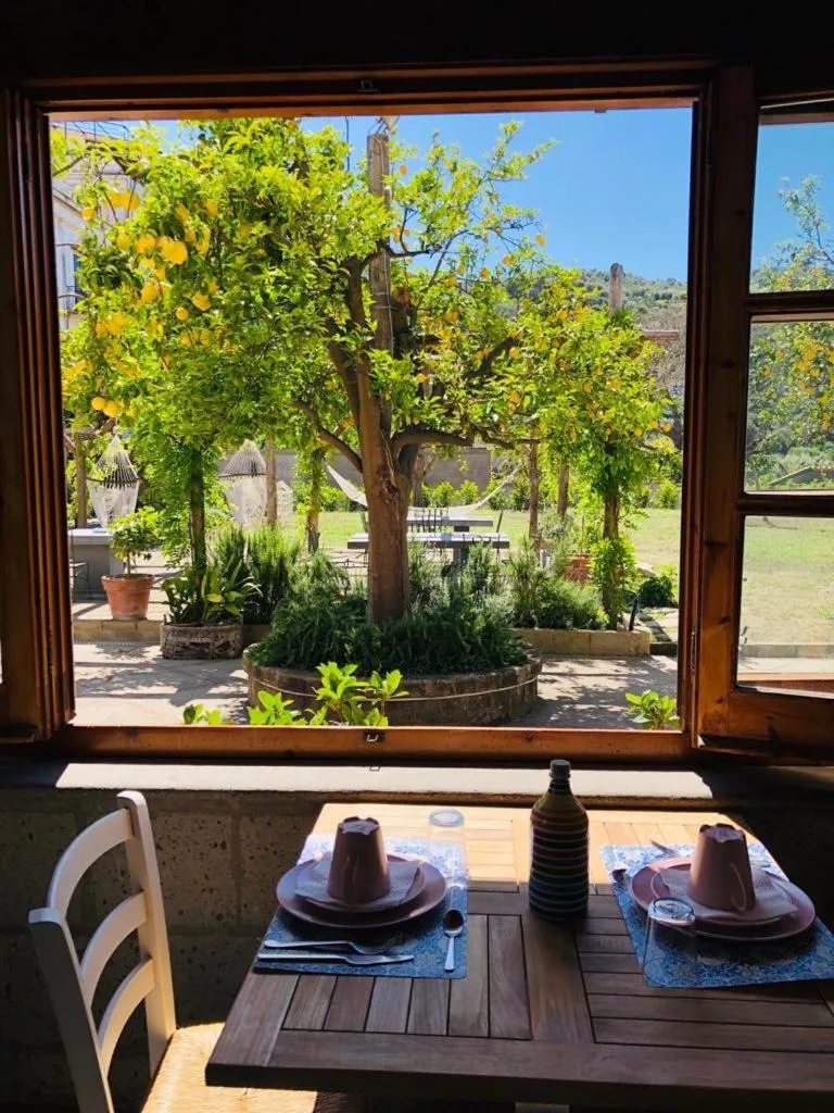 Garden view in Casa Lucia