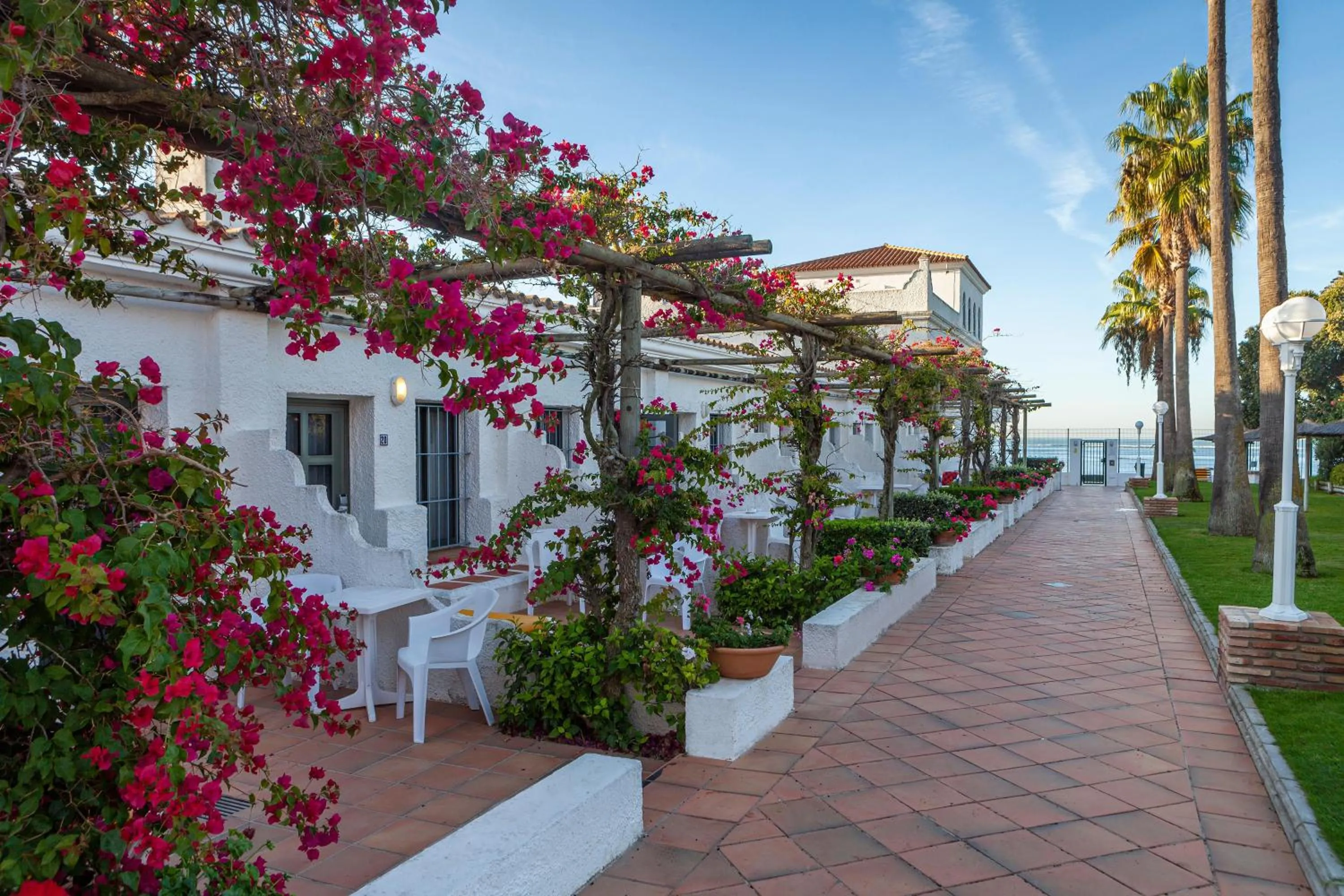 Garden in Playa de la Luz