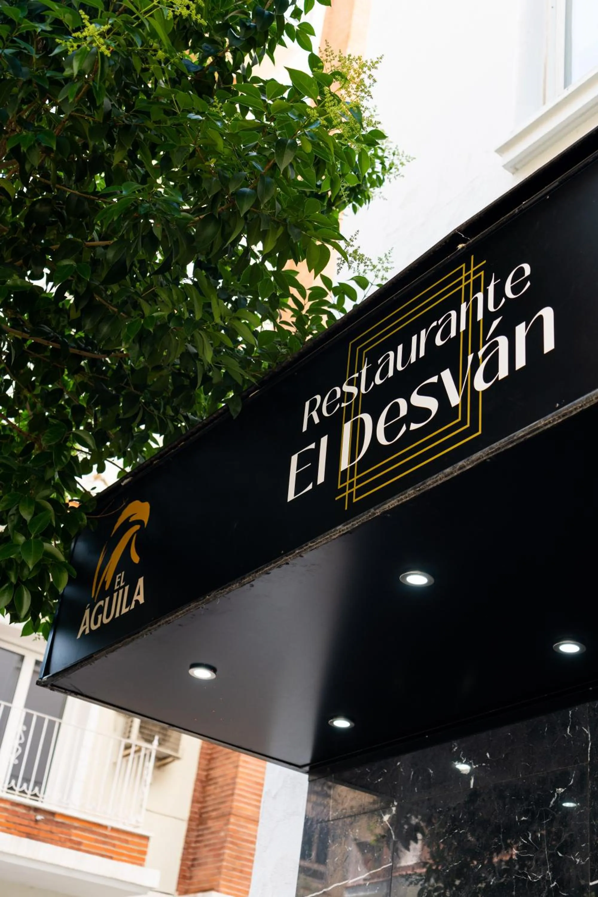 Restaurant/places to eat in NeoMagna Madrid