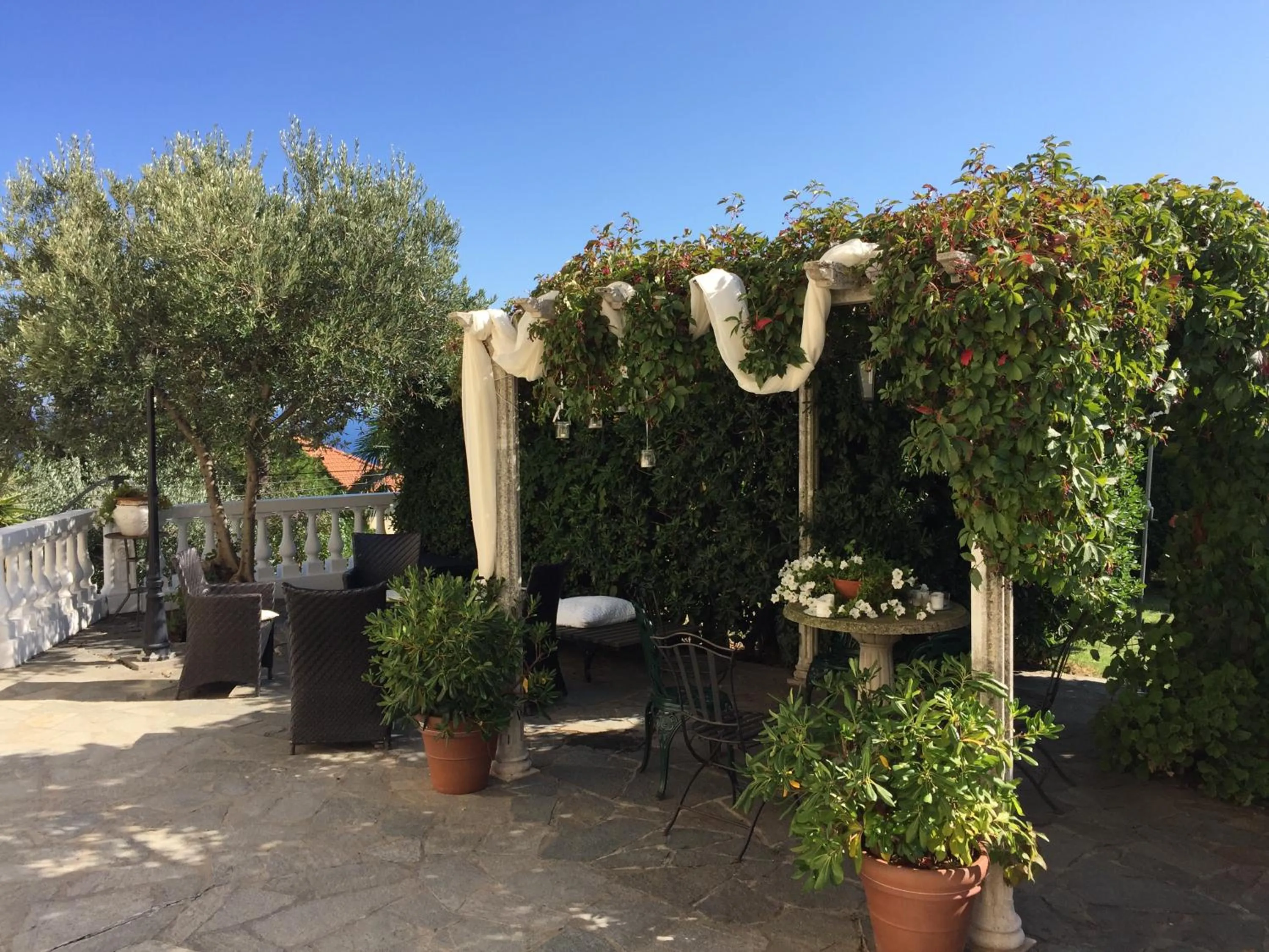 Garden in Art&Kitchen