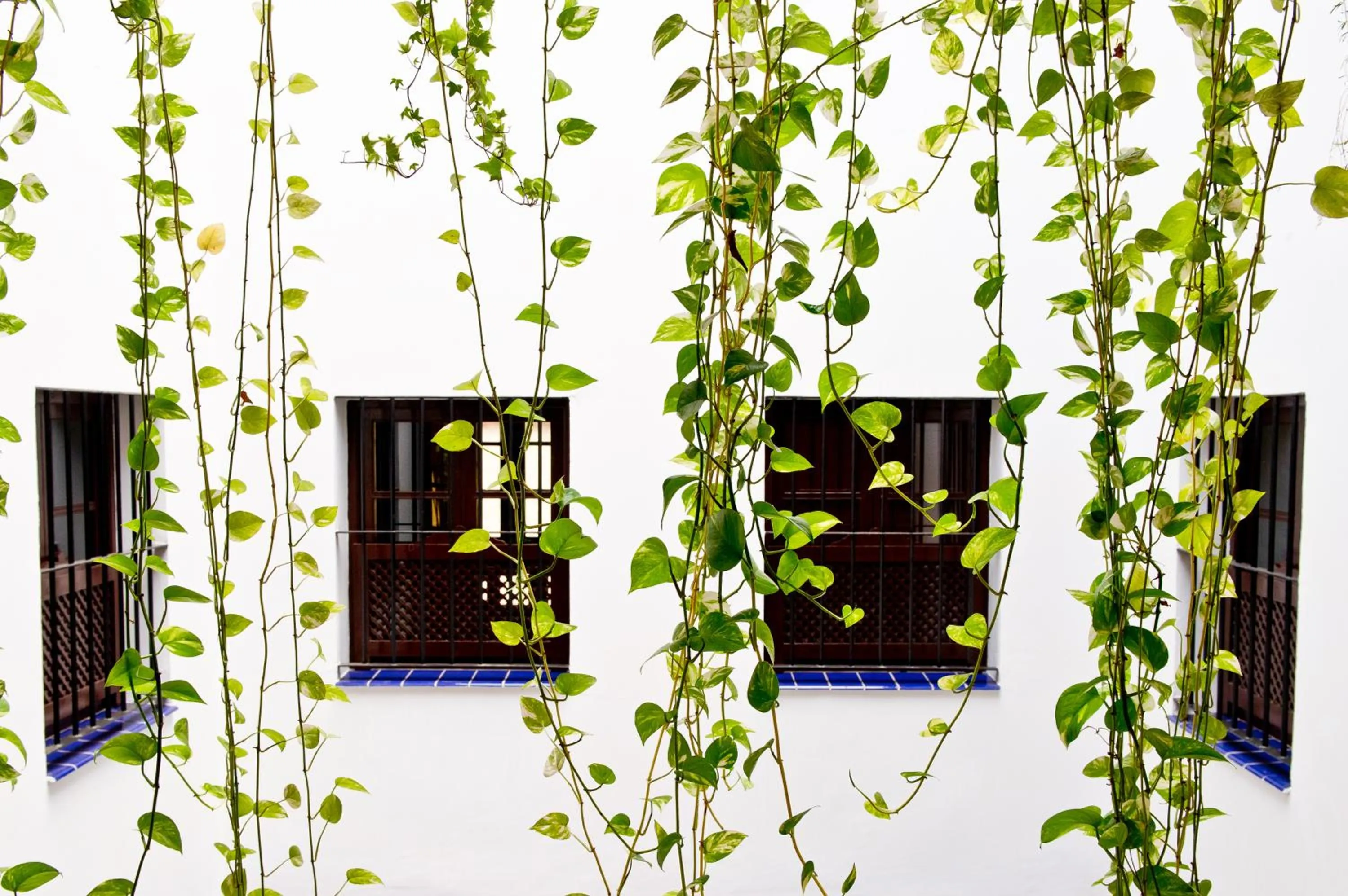 Other in Apartamentos Suites Santa Cruz