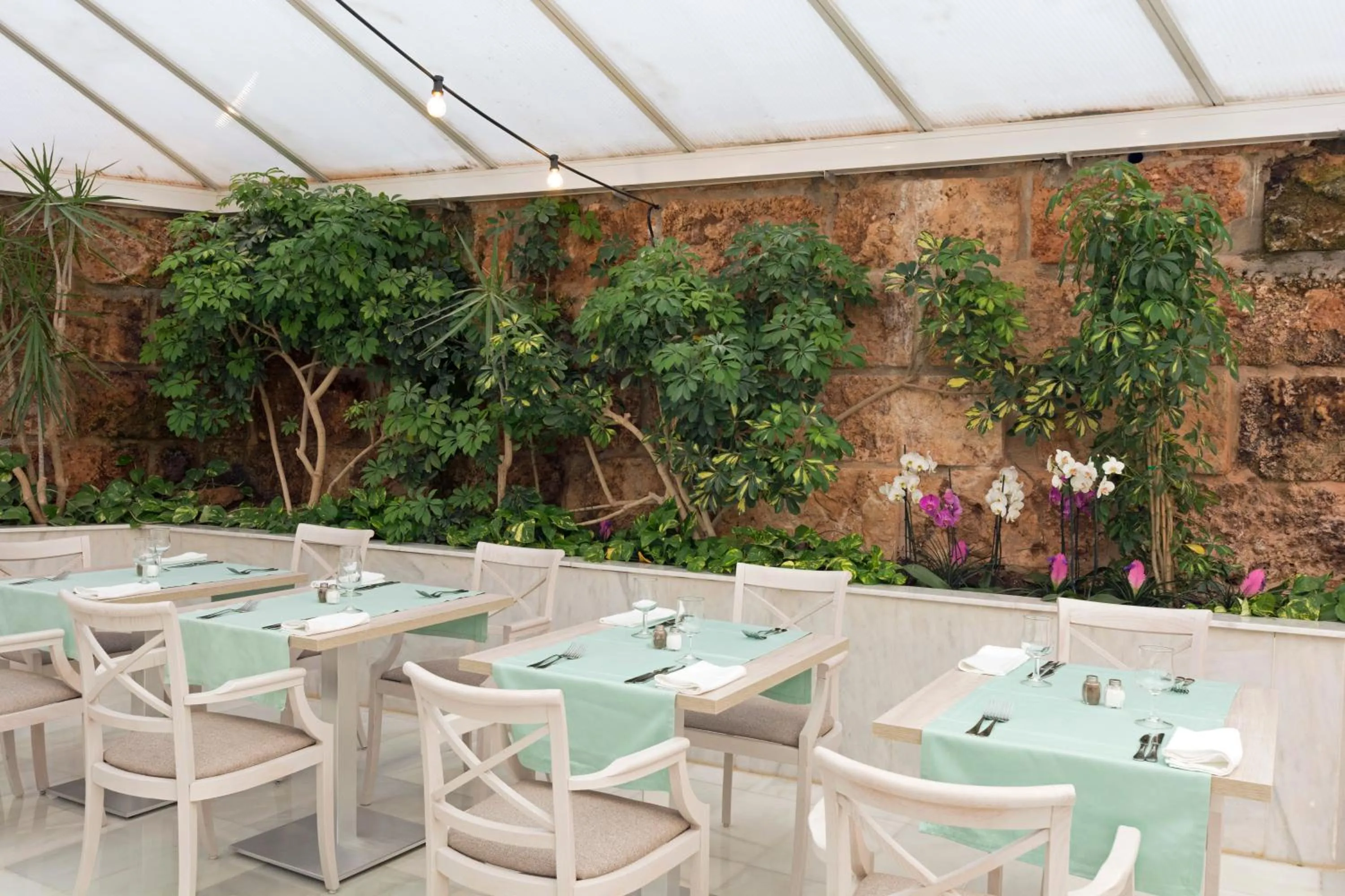 Restaurant/places to eat in Ona Palmira Paguera