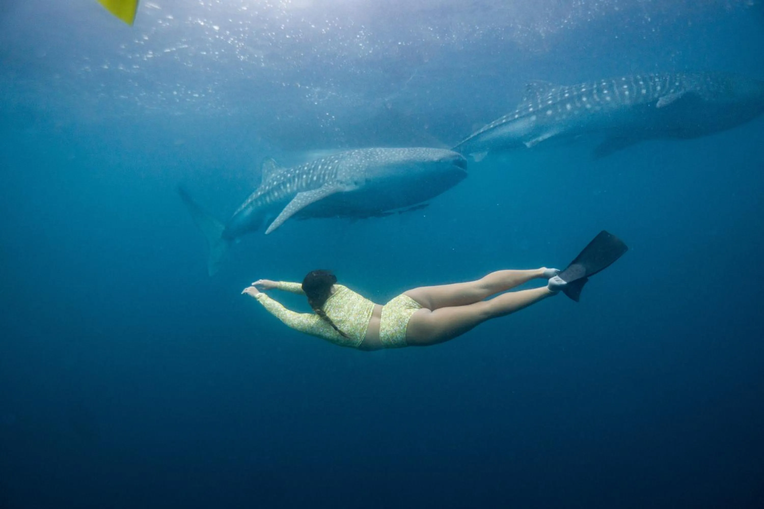 Activities in Somewhere Lombok