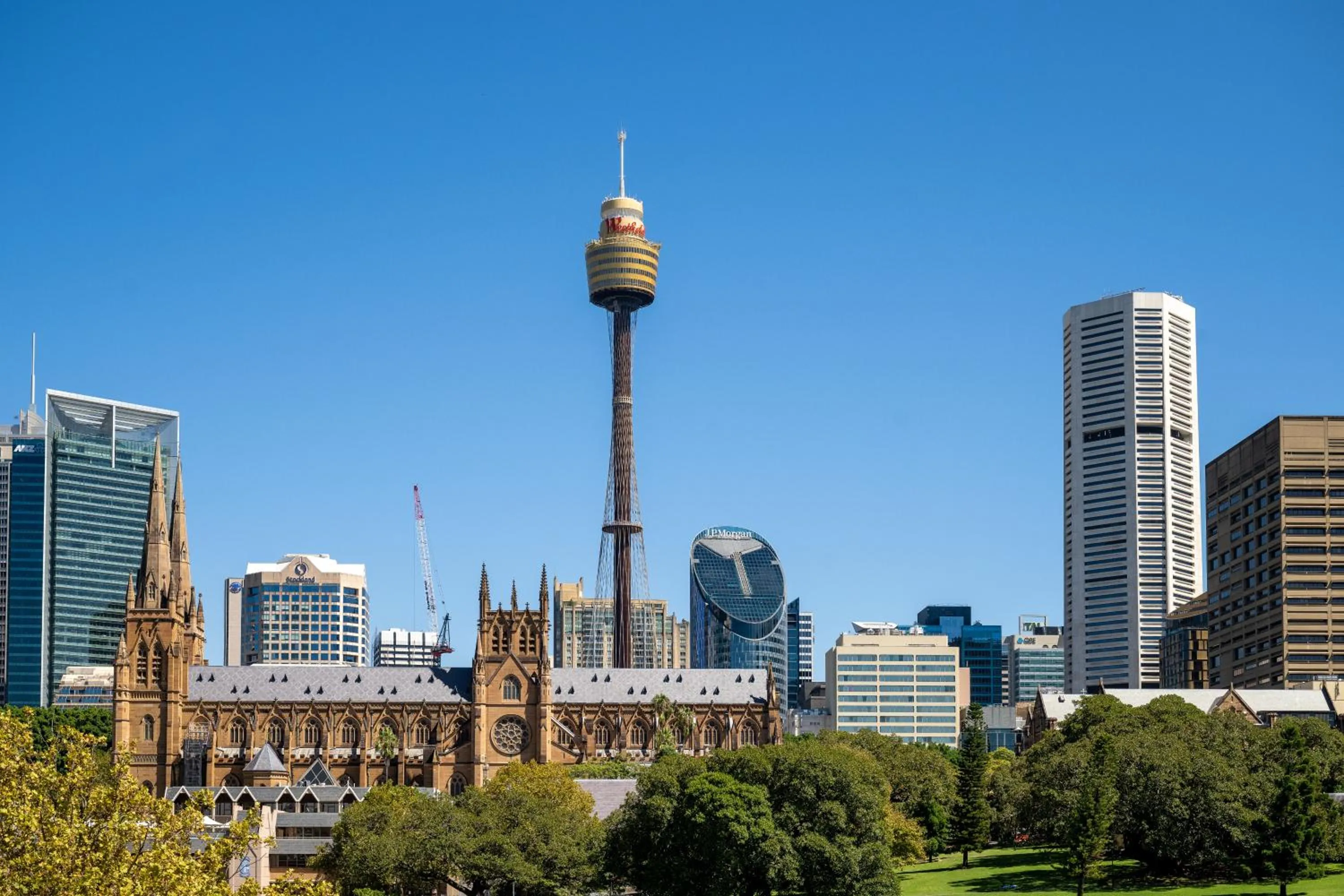 City view in The Pacific House
