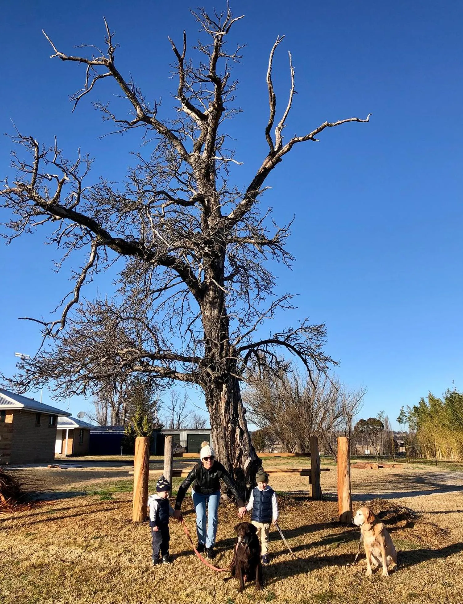 Day in Deepwater Hotel