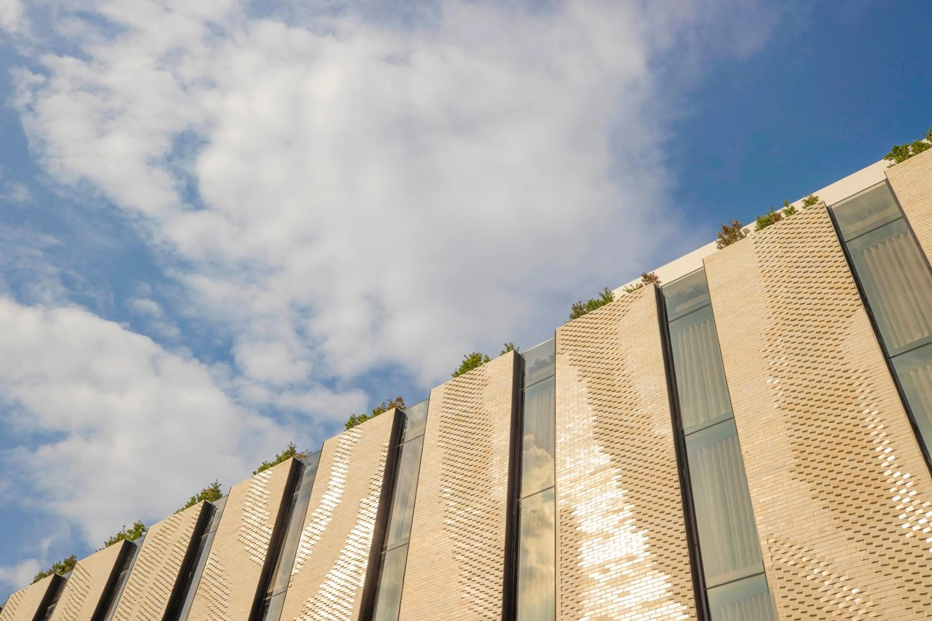 Facade/entrance in The Gravitique Hotel Khaosan