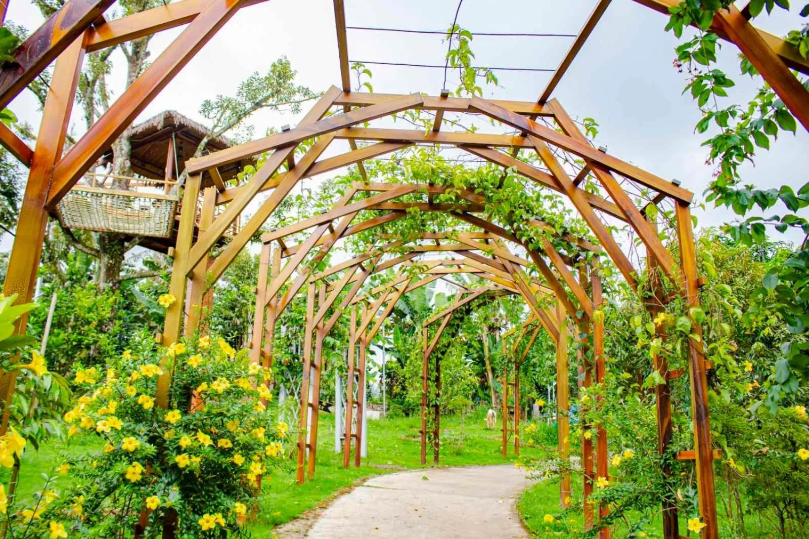 Spring in Resort Hàng Dương