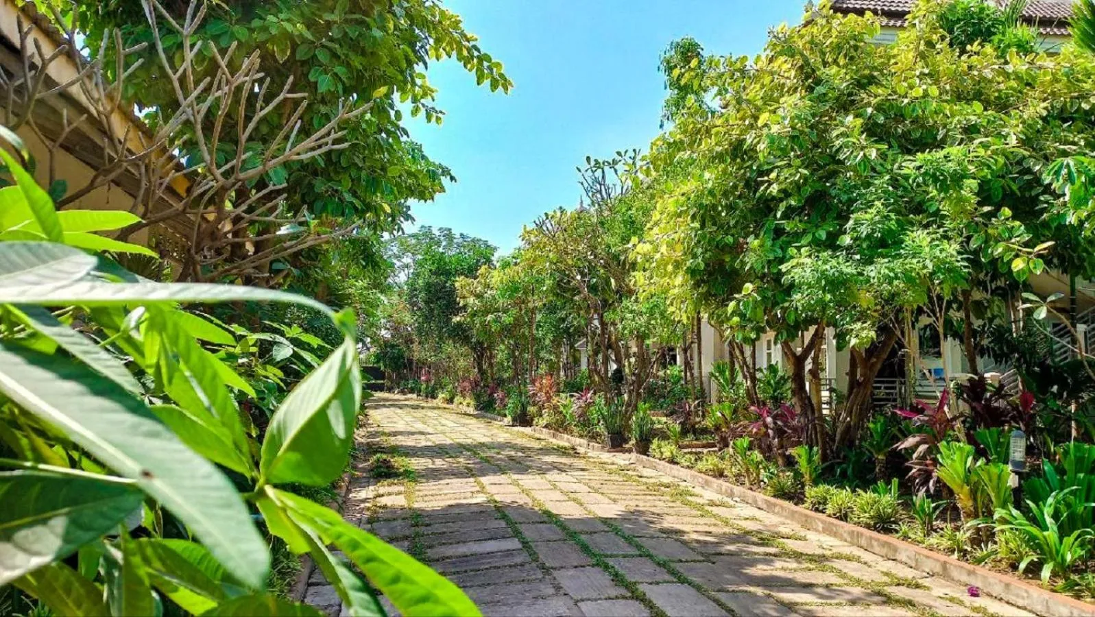 Garden in SANNA VILLA Residence