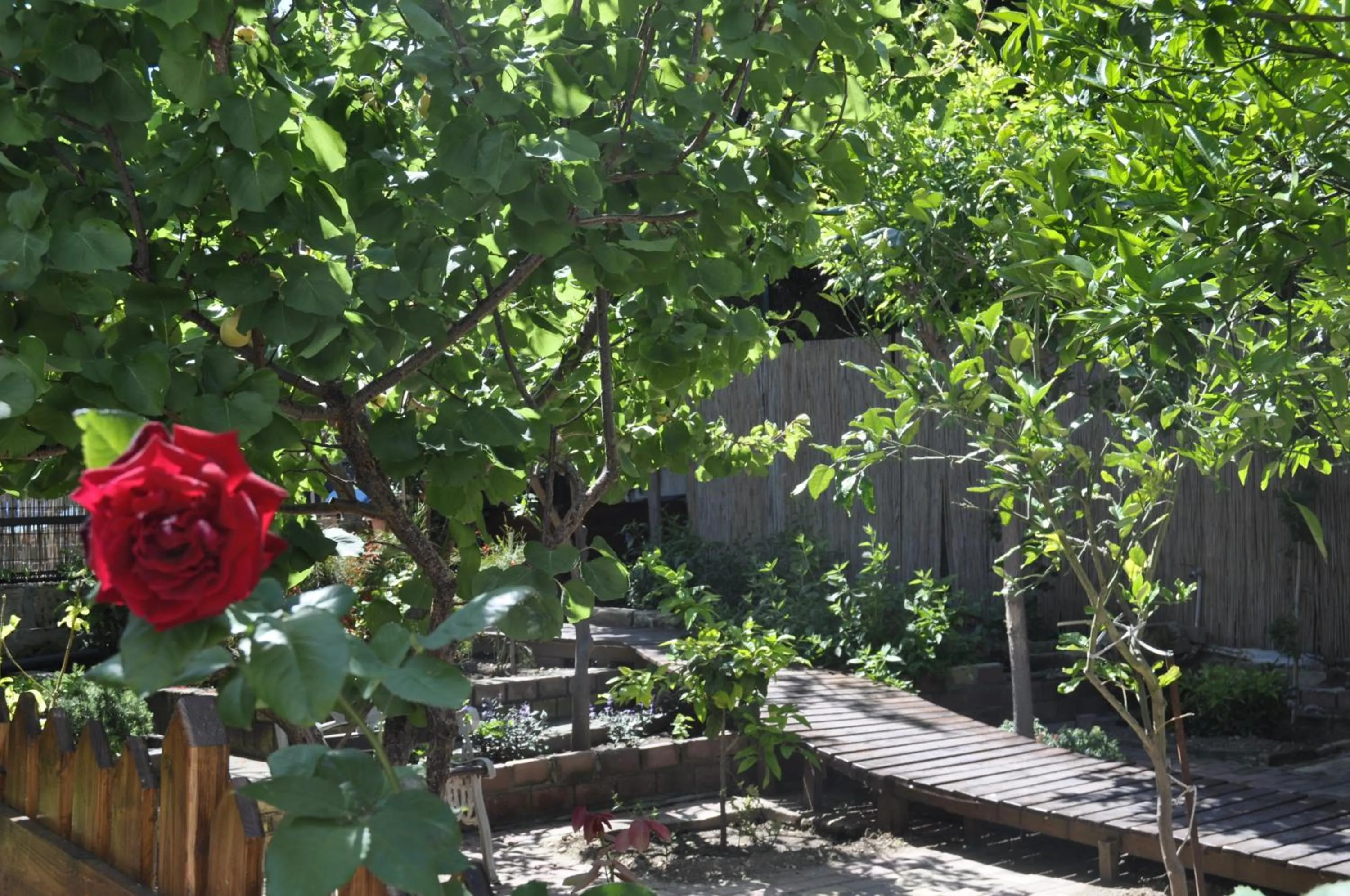 Garden in Sunside Inn Hotel